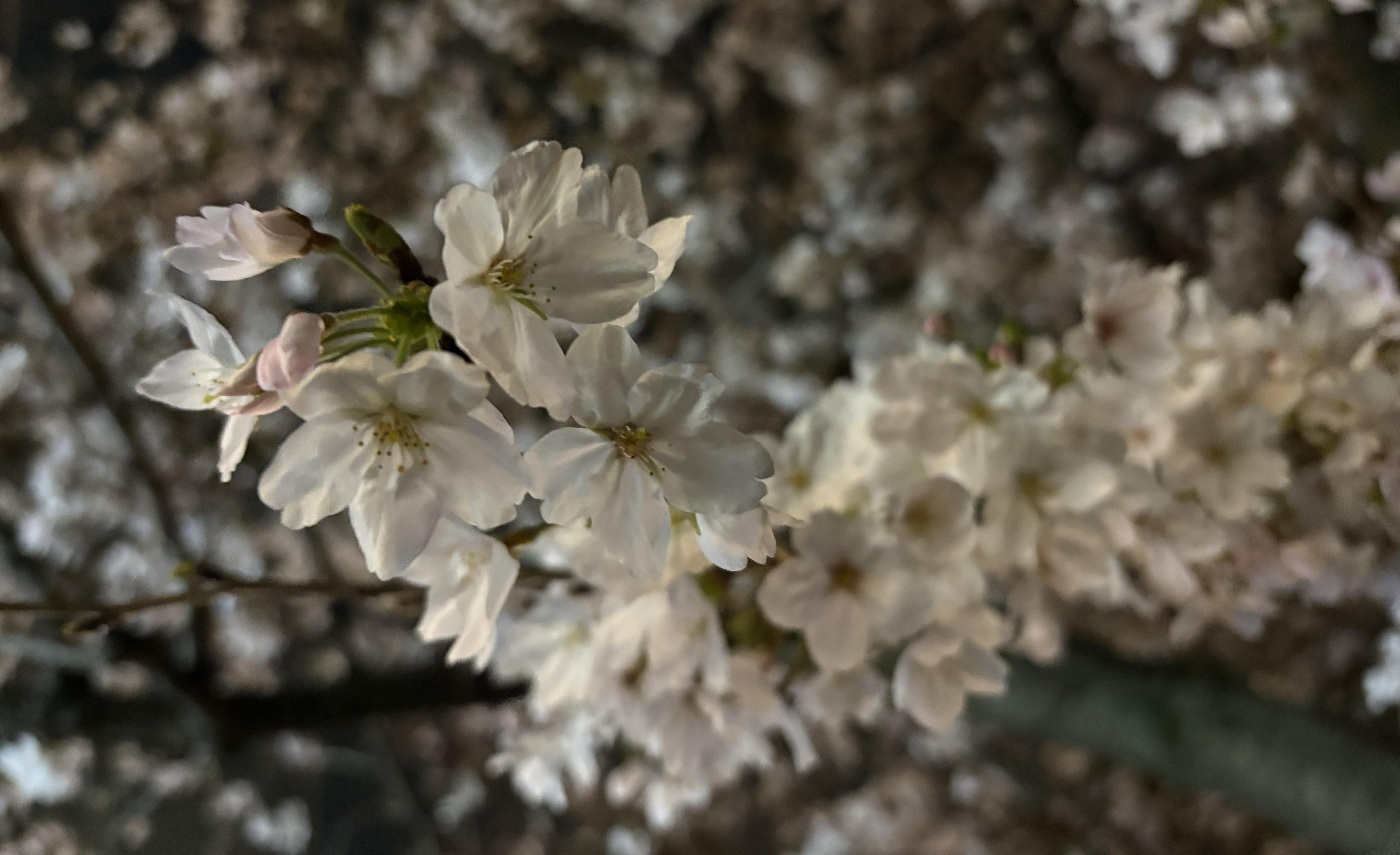 15:30退勤でここまで遊べる？全部やった金曜日の話