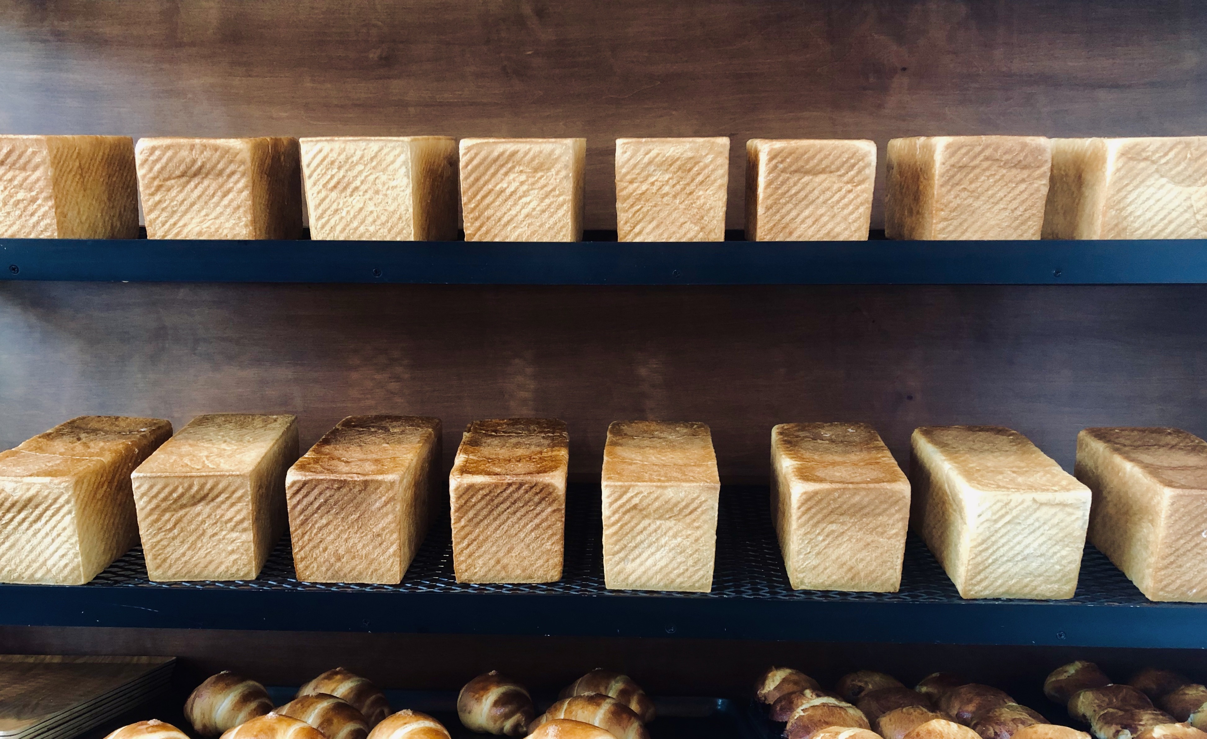 人生の前編、人生の後編