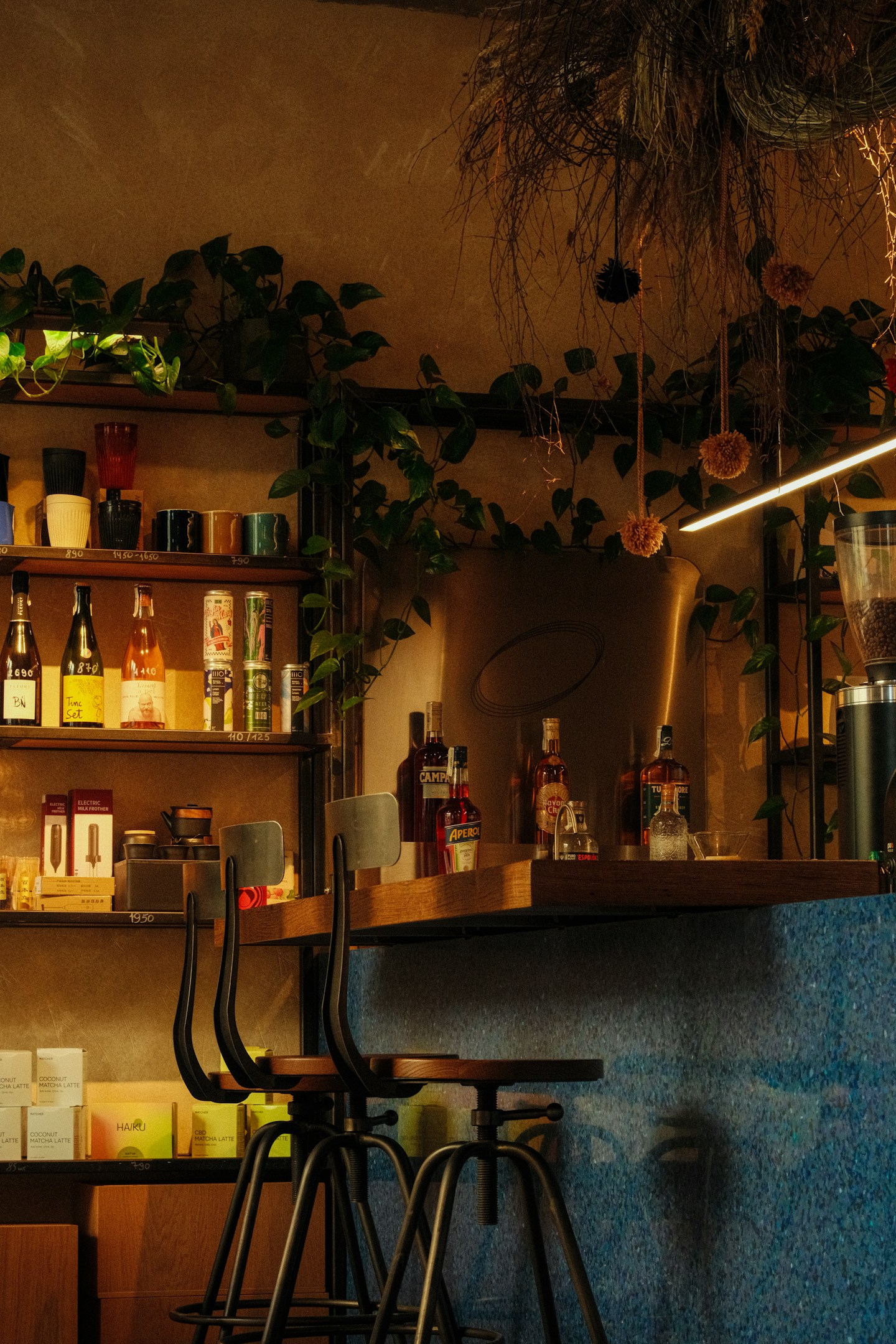 名刺の裏で孵化を待つ、虹色のトカゲ