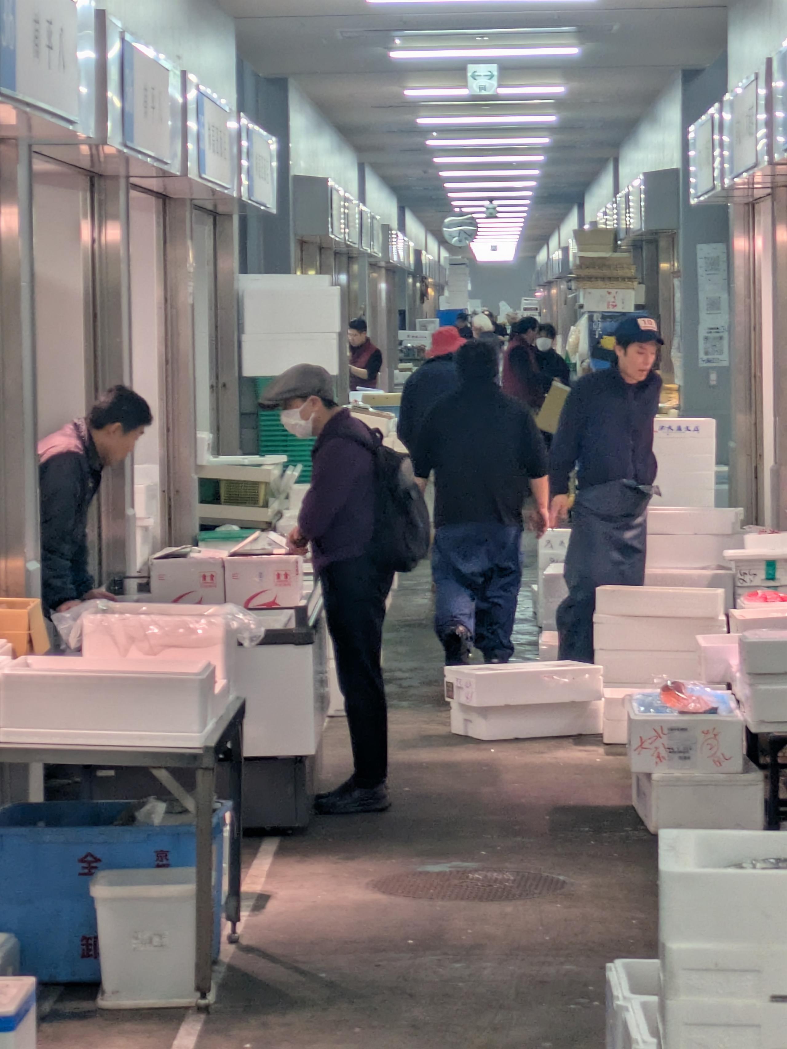 京都の市場から世界へ。魚で人生を変えたい仲間を探しています