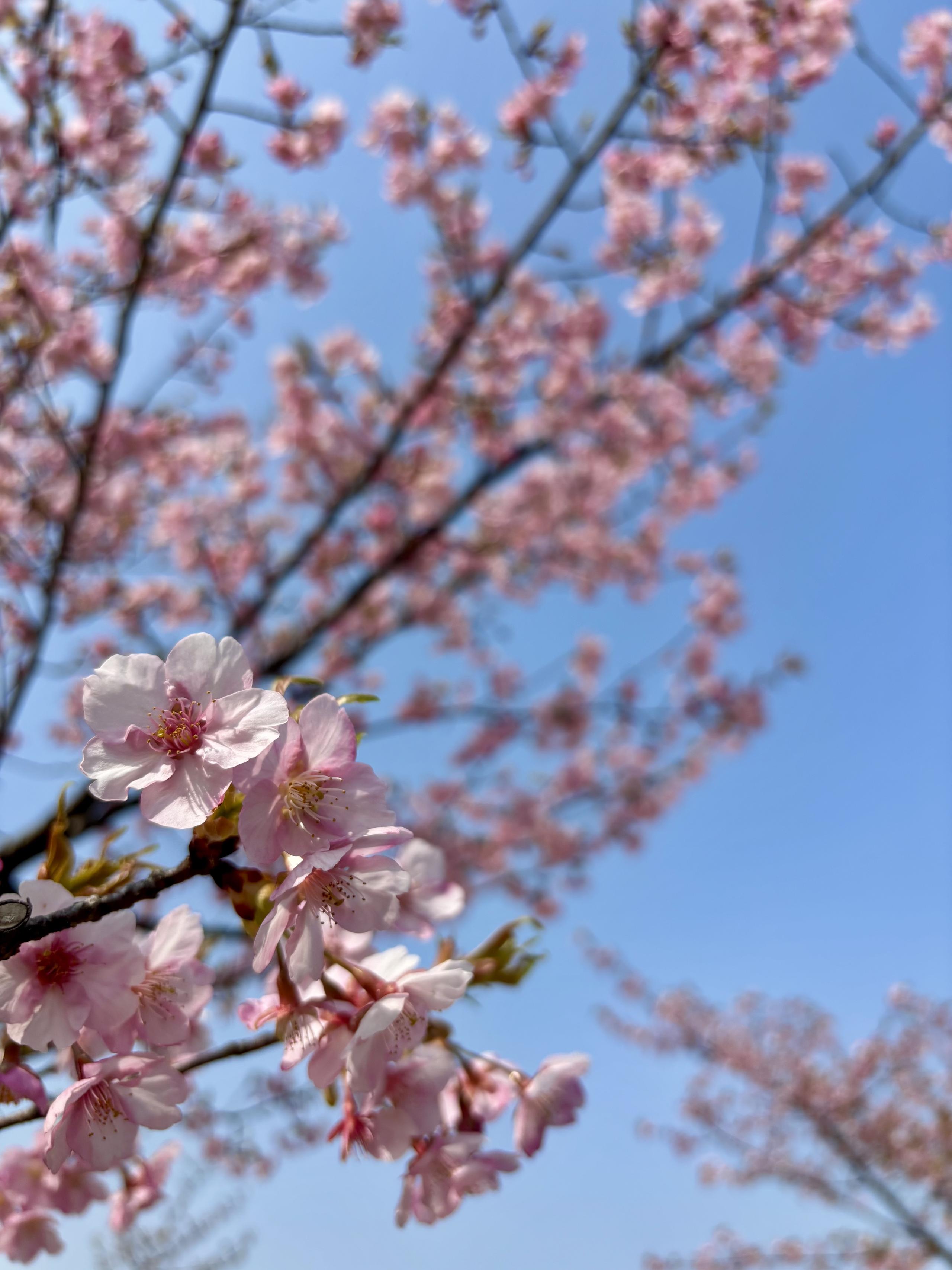 2026年入社式を執り行いました！【人事のつぶやき20260402】