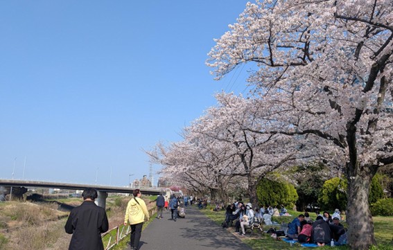 コラム「その一句、実家へ」- 3月編 -