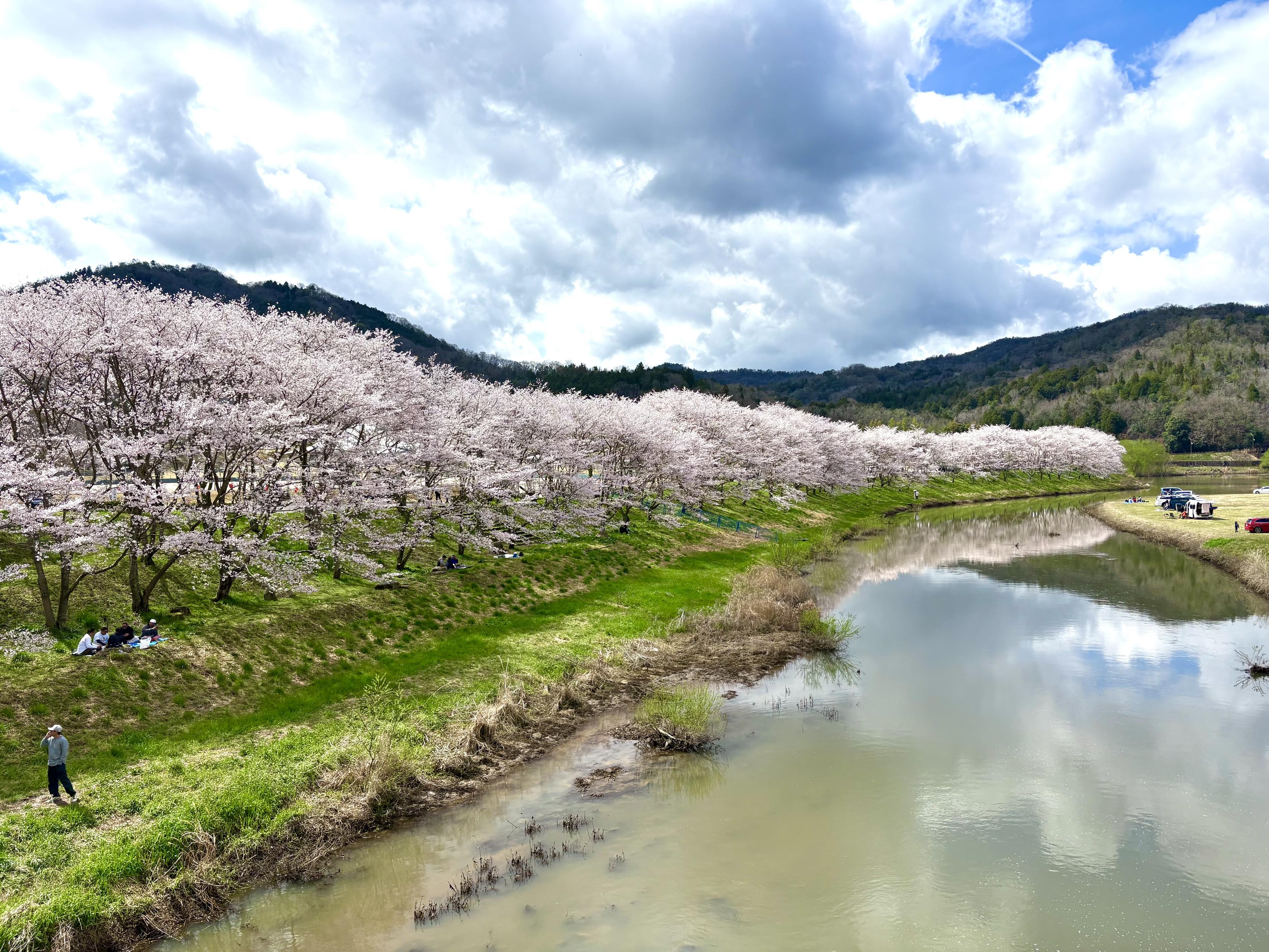 2026年4月。今年度のHITを紹介します。