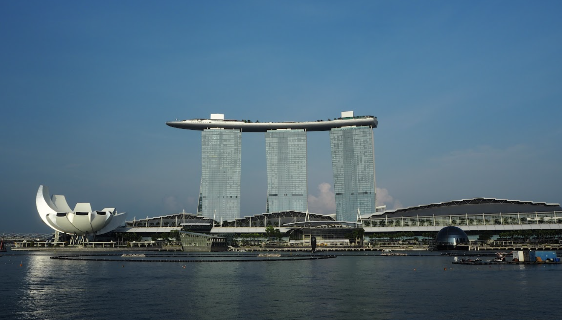 【アカウントプランナーインタビュー】何億人ものファンの期待を背負って。幼少期からの夢の舞台に経ったSNSマーケターの挑戦。