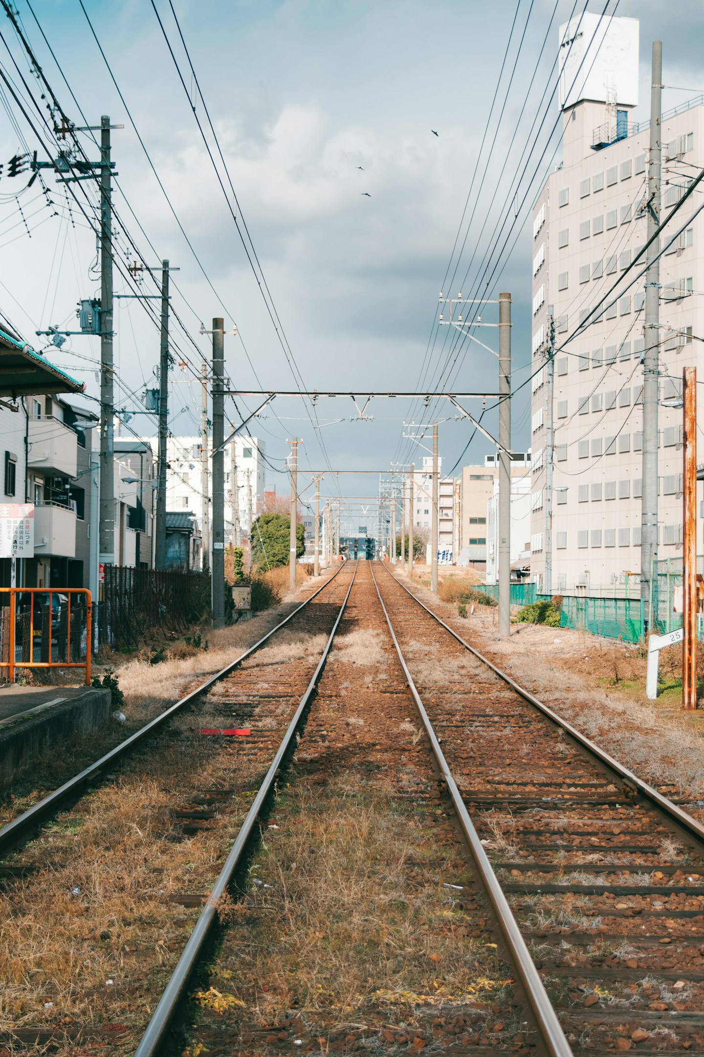 どうすれば無理なく続けられる道を選べるか-ECとキャリアの共通点