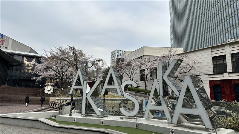 赤坂にもちゃんと春が来ていました。