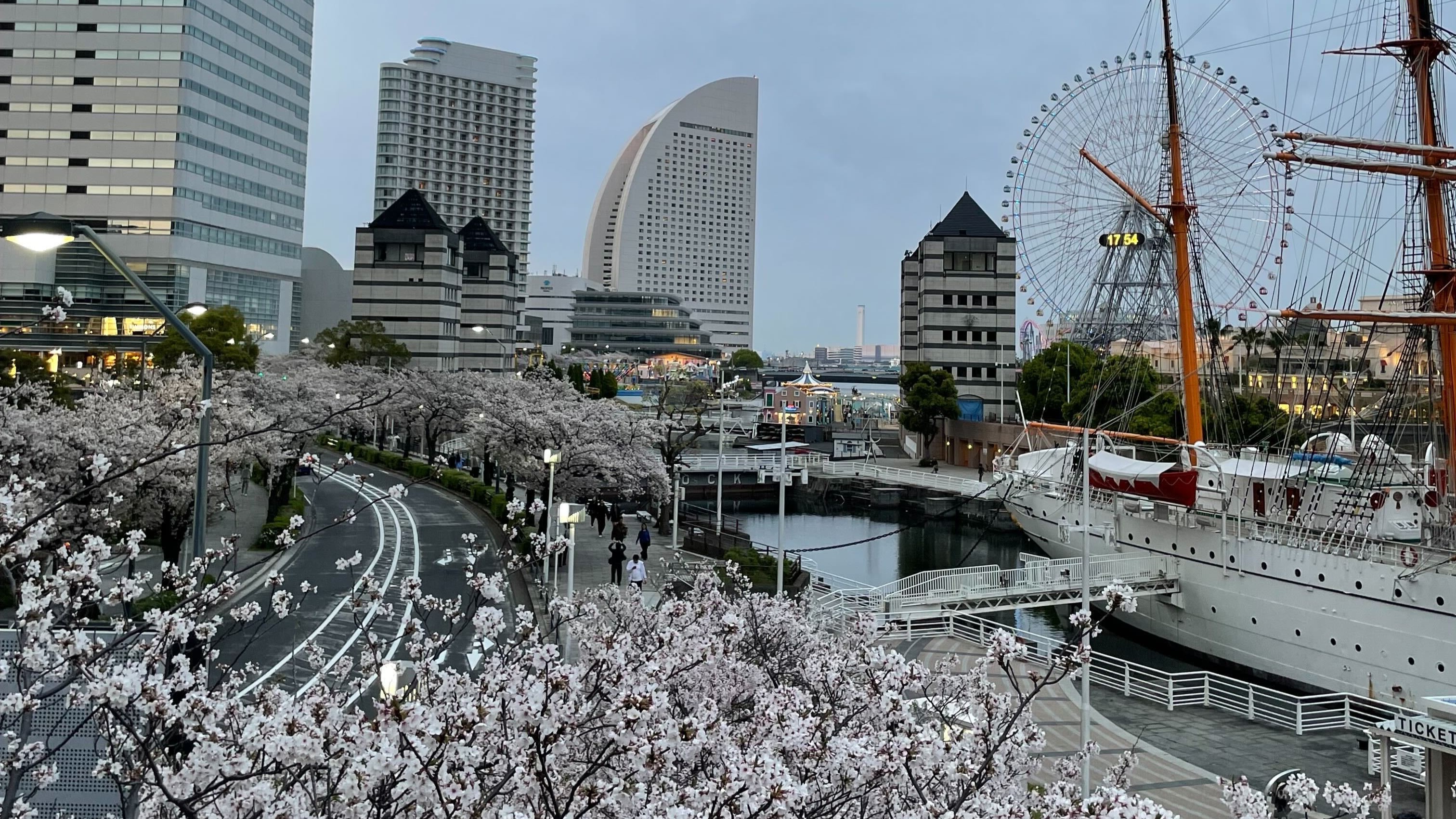 🌸2026年度🌸最初の社内イベント《お花見》の開催日は暴風雨でした☔