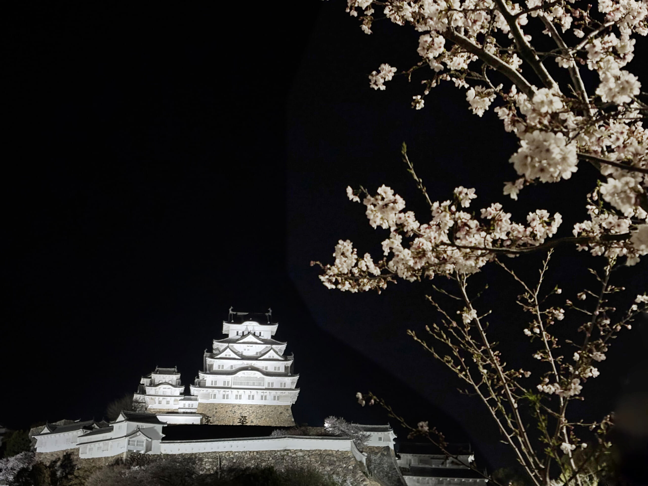 採用ブログを更新！姫路事業所のお花見レポート