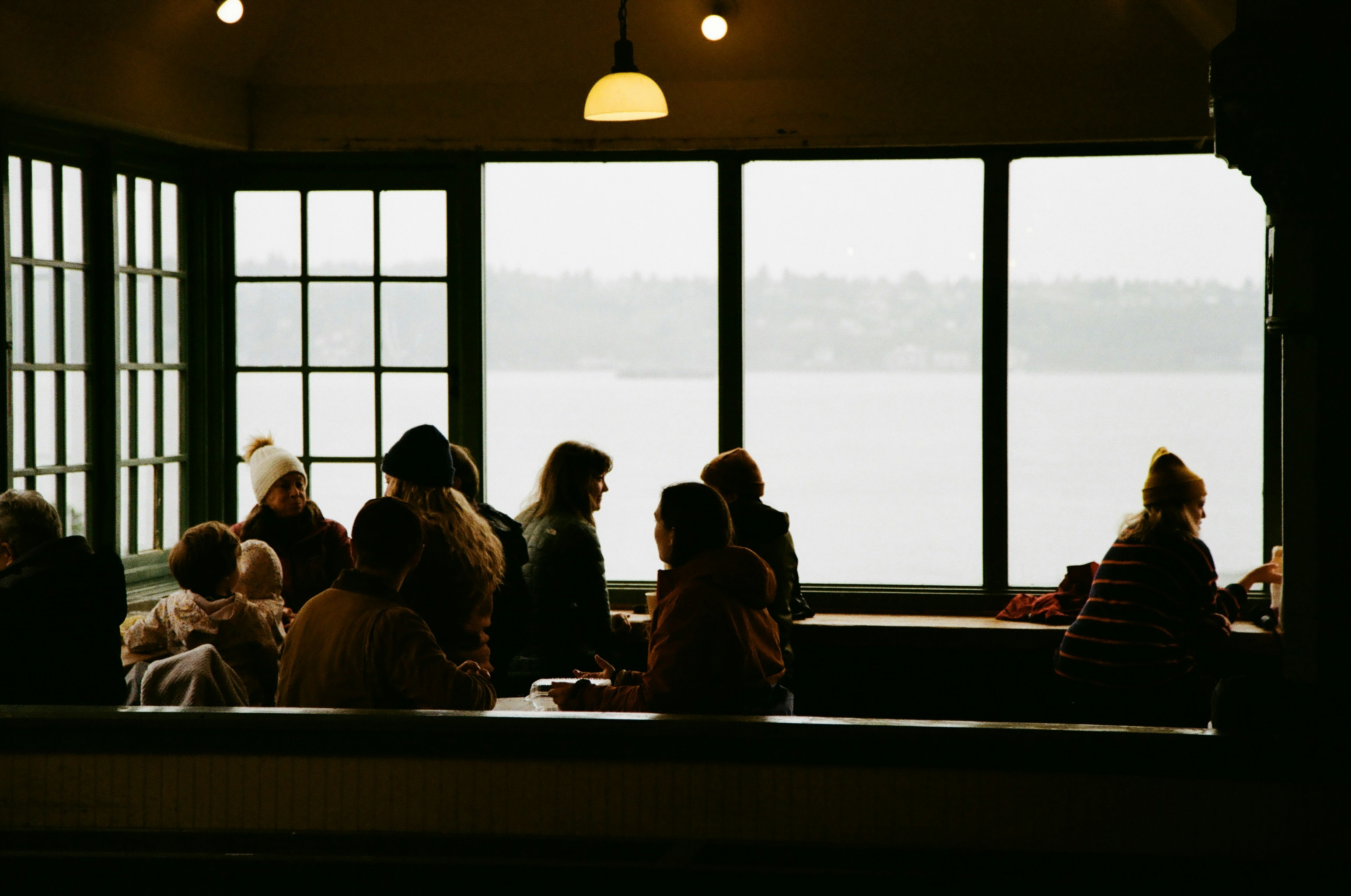 履歴書から発芽したマングローブの正体