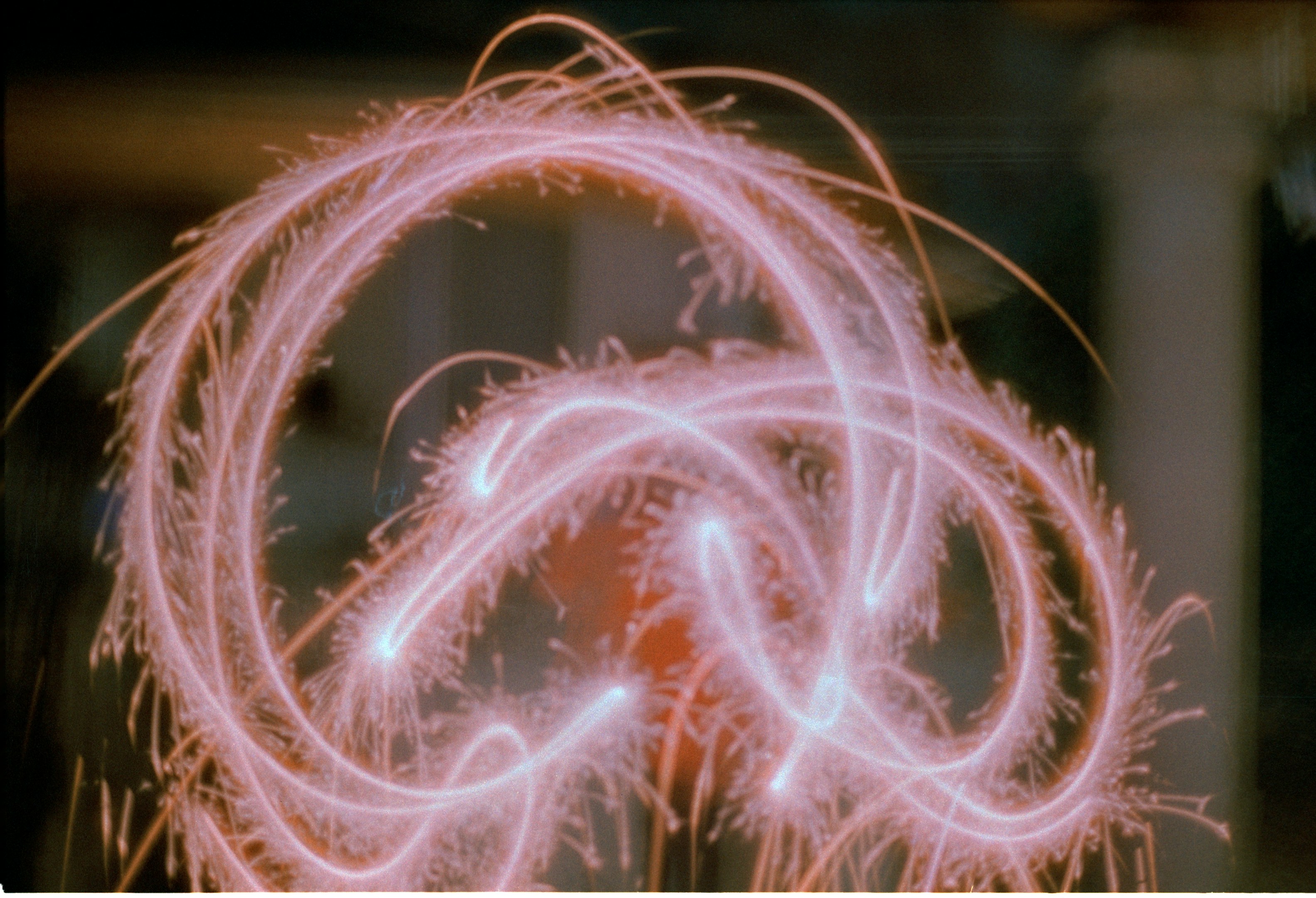 真夜中の図書室で踊る銀色のフラミンゴ