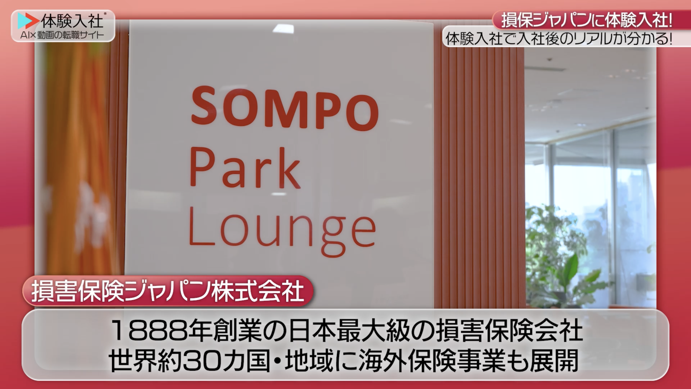 求人票では伝わらなかった、損害保険ジャパン株式会社の代理店営業職のリアル
