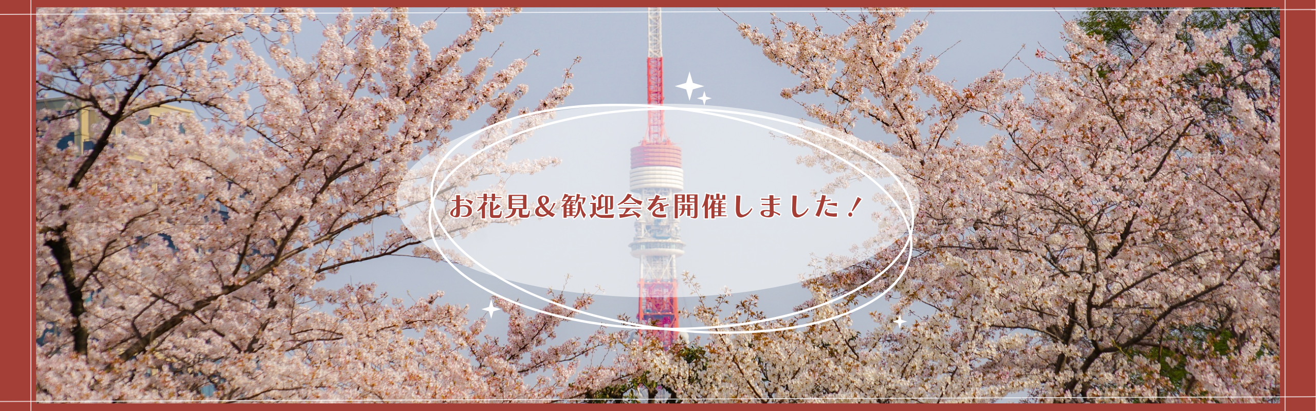 お花見＆歓迎会を開催しました🌸🍡