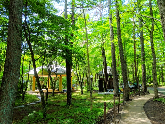 働くならどこ？～軽井沢編～「石垣島」・「箱根」・「軽井沢」リゾート対決！