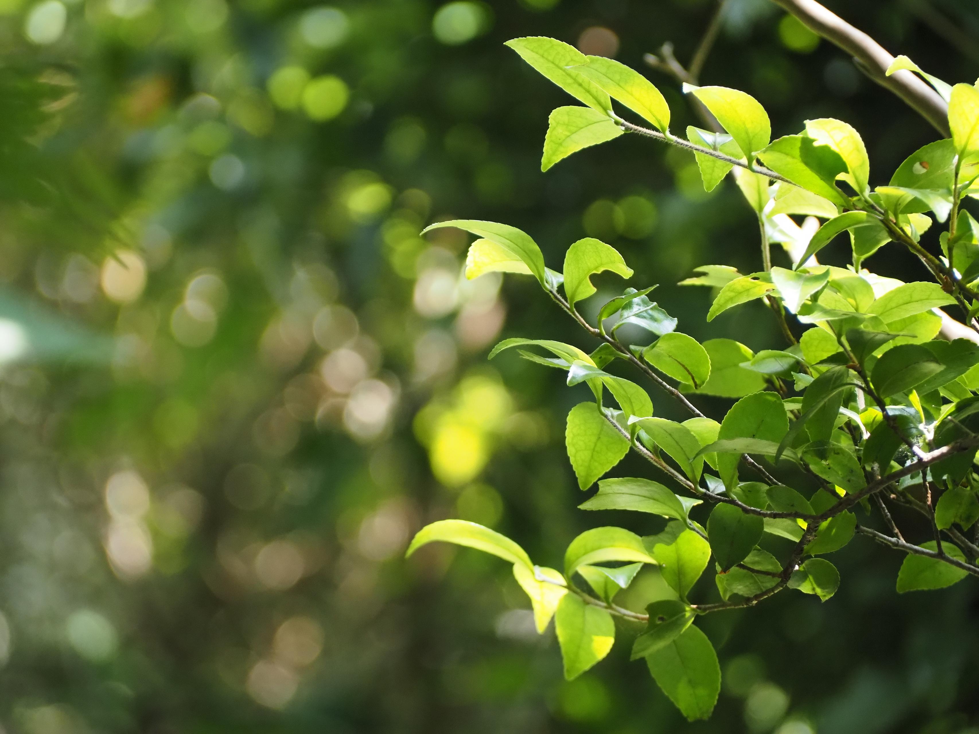 メーカーと制作、両方の現場で学んだ「生きたマーケティング」