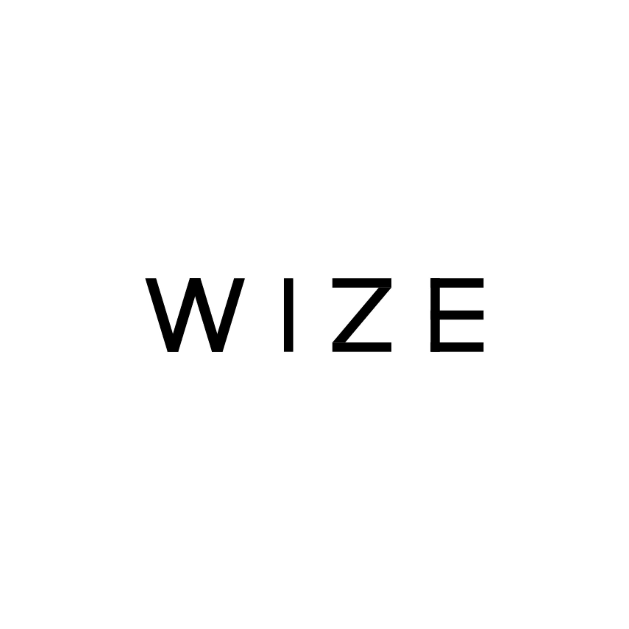 株式会社WIZE