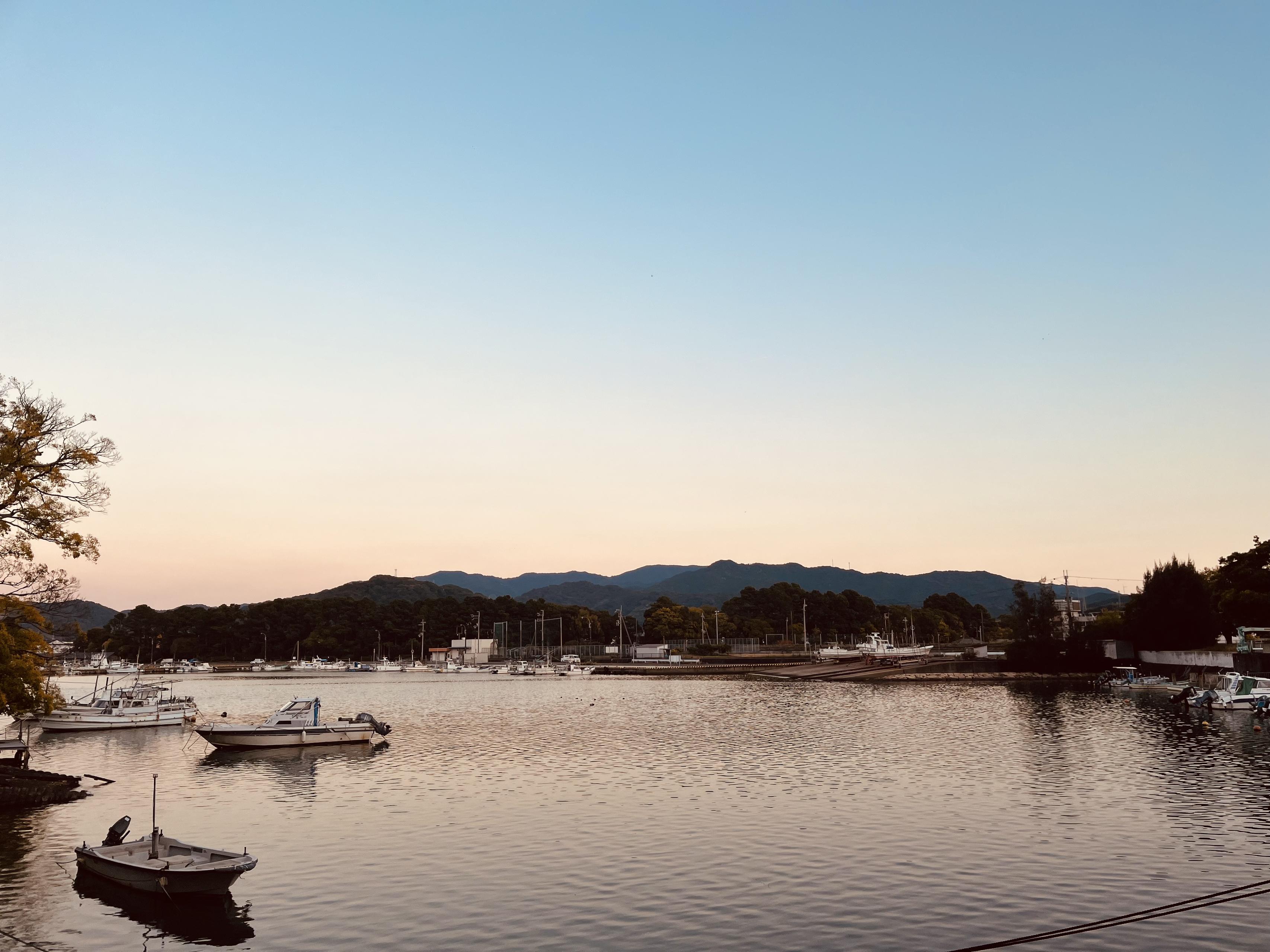 「食材がいいからシンプルに」ではダメだと思っています。和歌山・広川町で料理と向き合う。