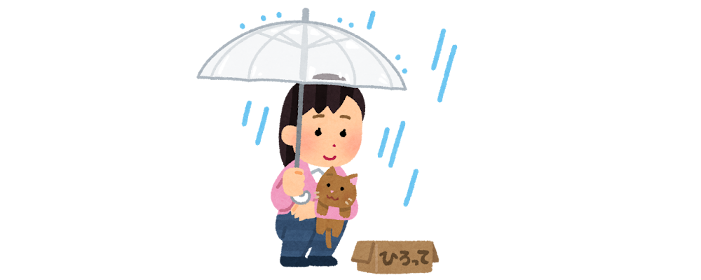 迷い猫を見つけたら。思い出してほしいこと。