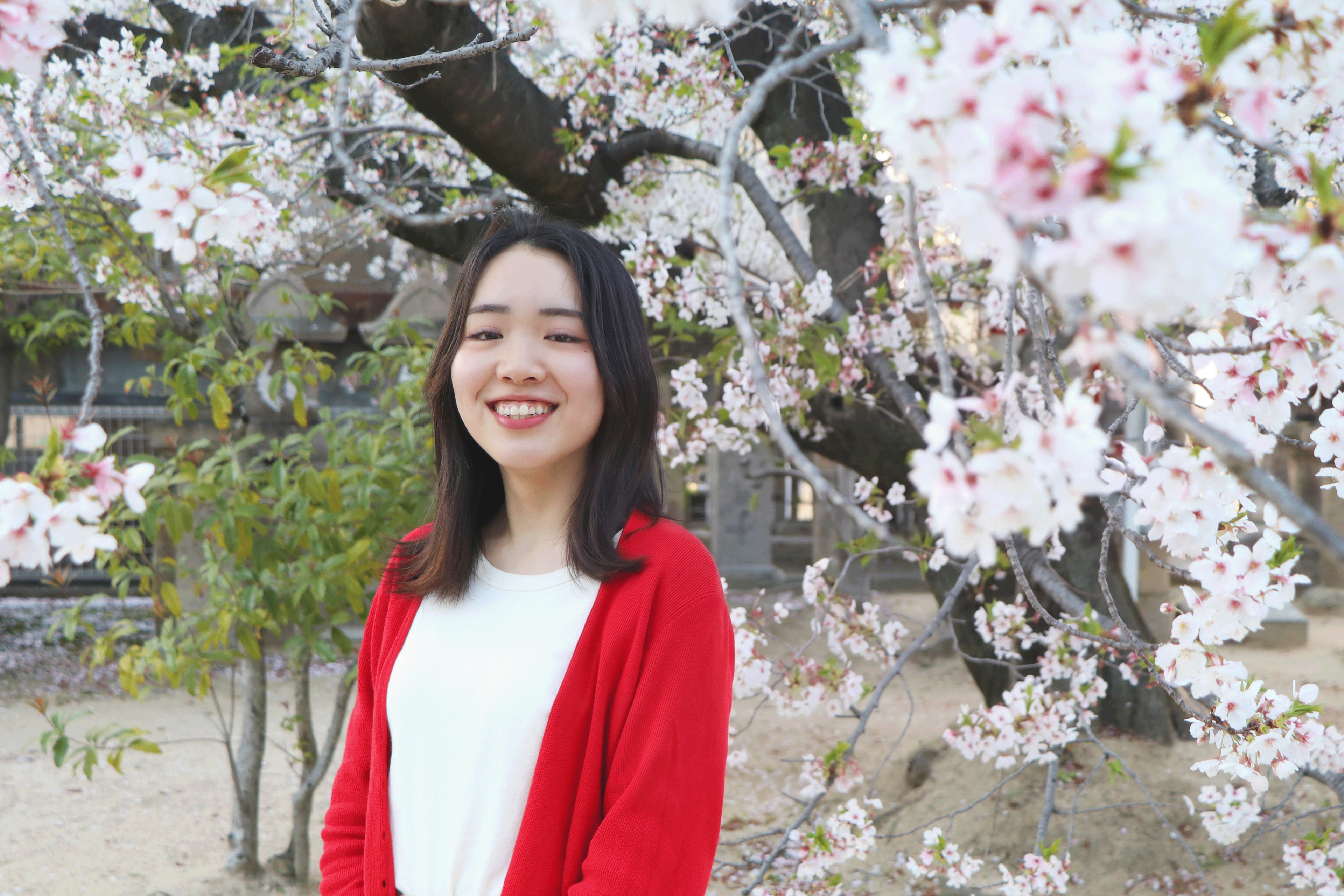 新米デザイナーへインタビュー　2025年入社 梛木 夢乃