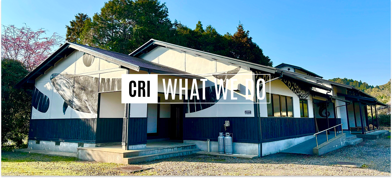 【事業所設立プロジェクトin伊万里】第七話〜「地方創生×IT」地方に新たな風を吹き込む、新規事業所開設プロジェクト完結！〜