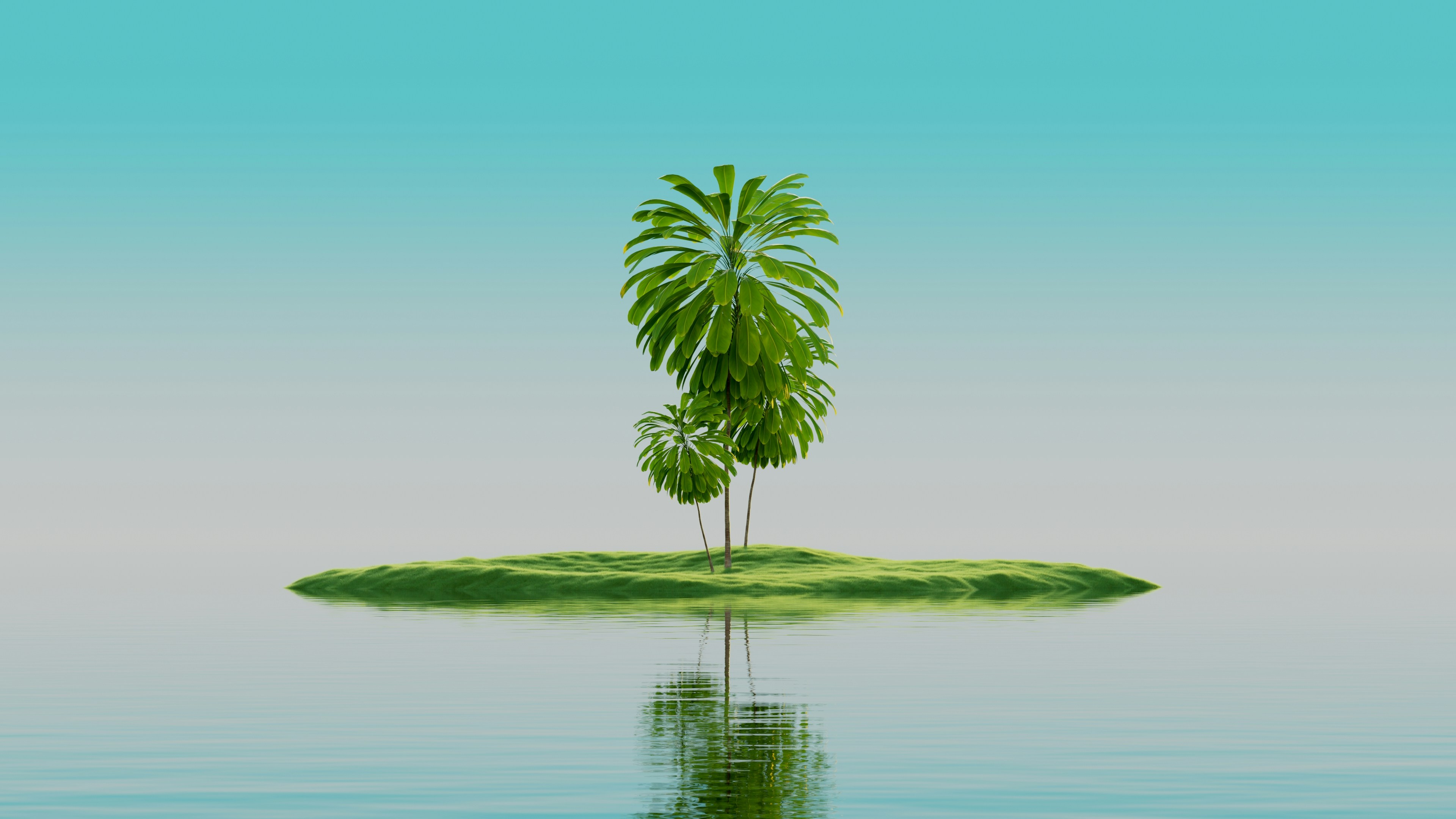 未経験でも大丈夫！SC新・研修制度のご紹介