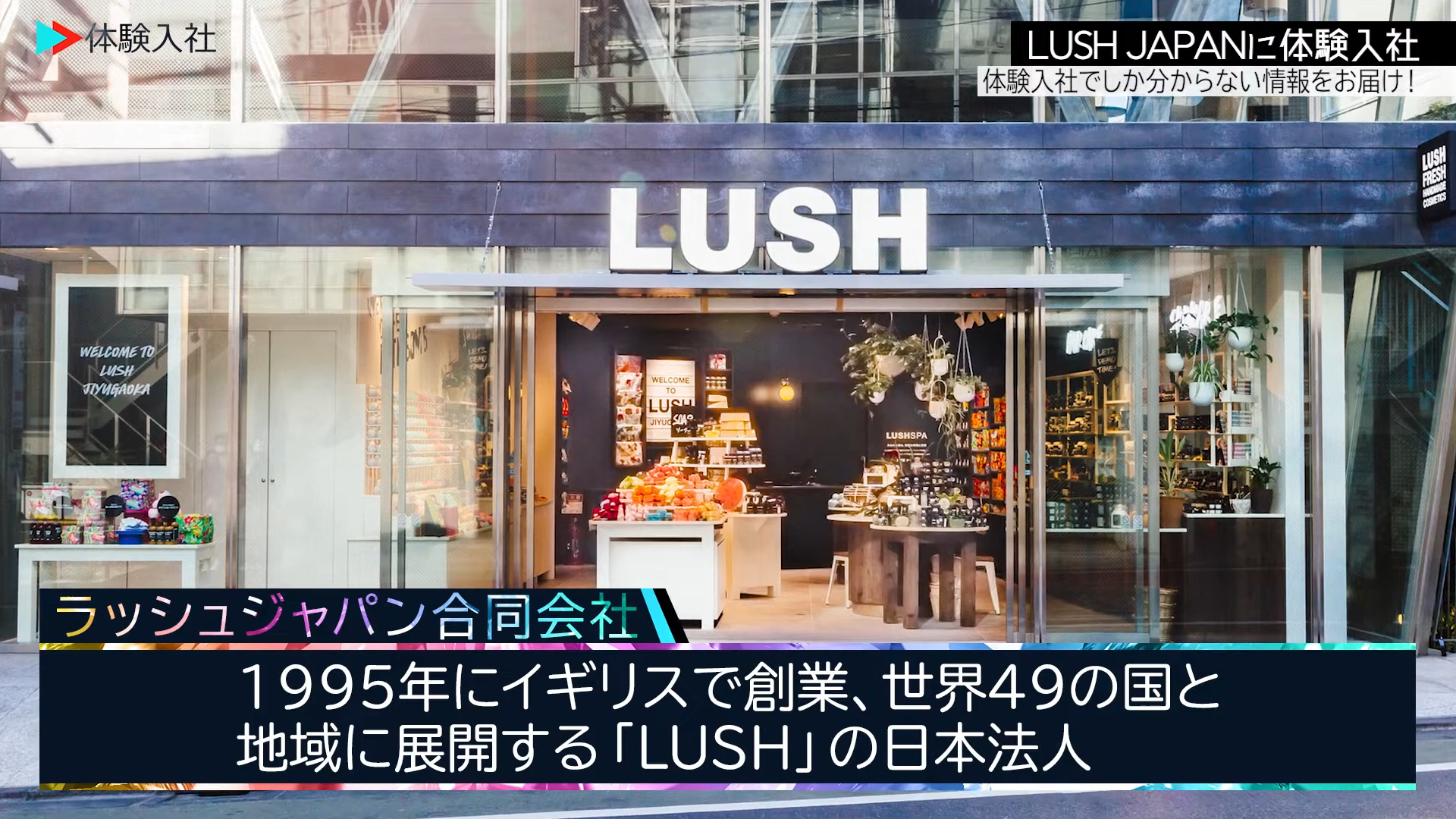 求人票では伝わらなかった、ラッシュジャパン合同会社の製造職のリアル