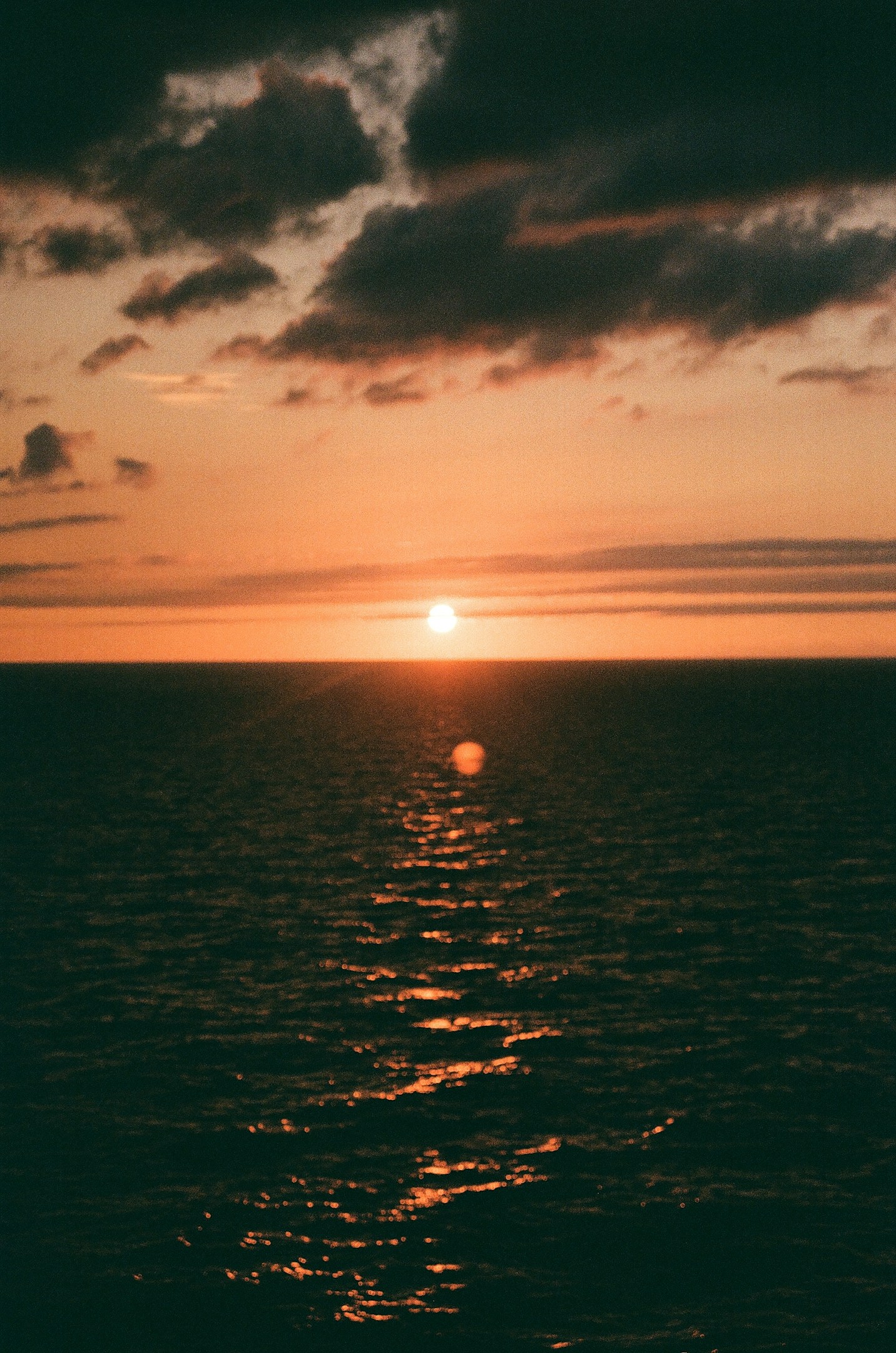 流行に流されない動画制作が、これからの時代に必要だと思う話