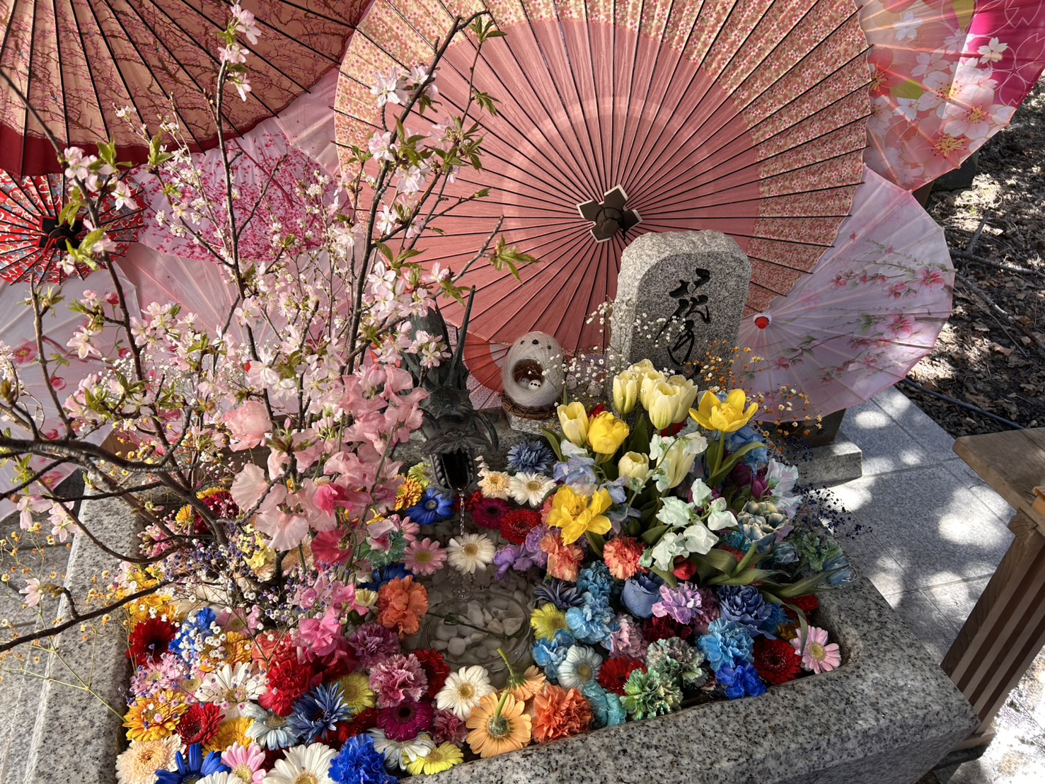 一粒万倍日⛩️