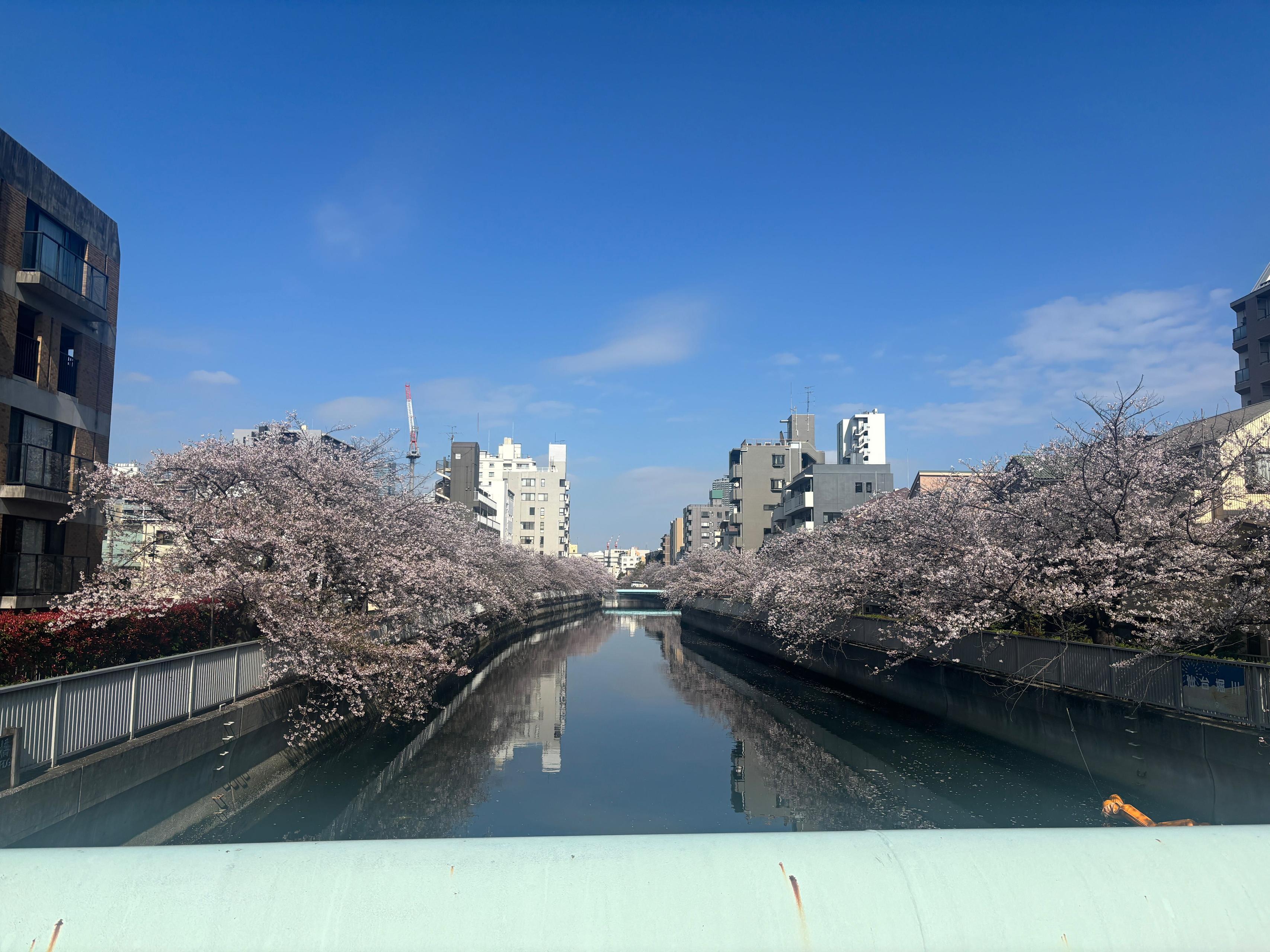 華金がちょっと楽しみになった新卒のリアルな1日｜サマンサ（入社1ヵ月目）の日常