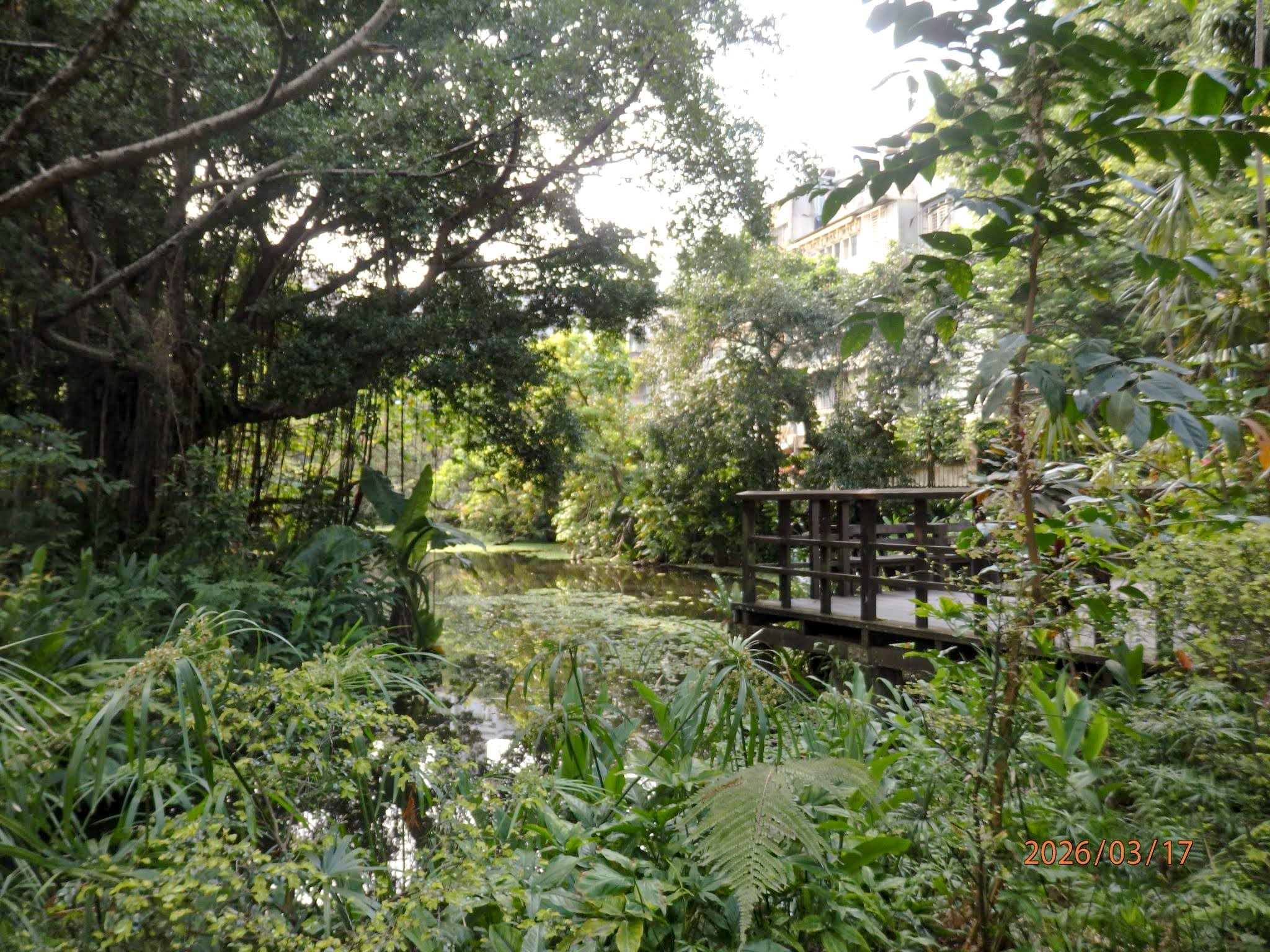 失敗や間違いも経験に。DD初のインターン生が振り返る挑戦と学びの4ヶ月【インターンレポート】