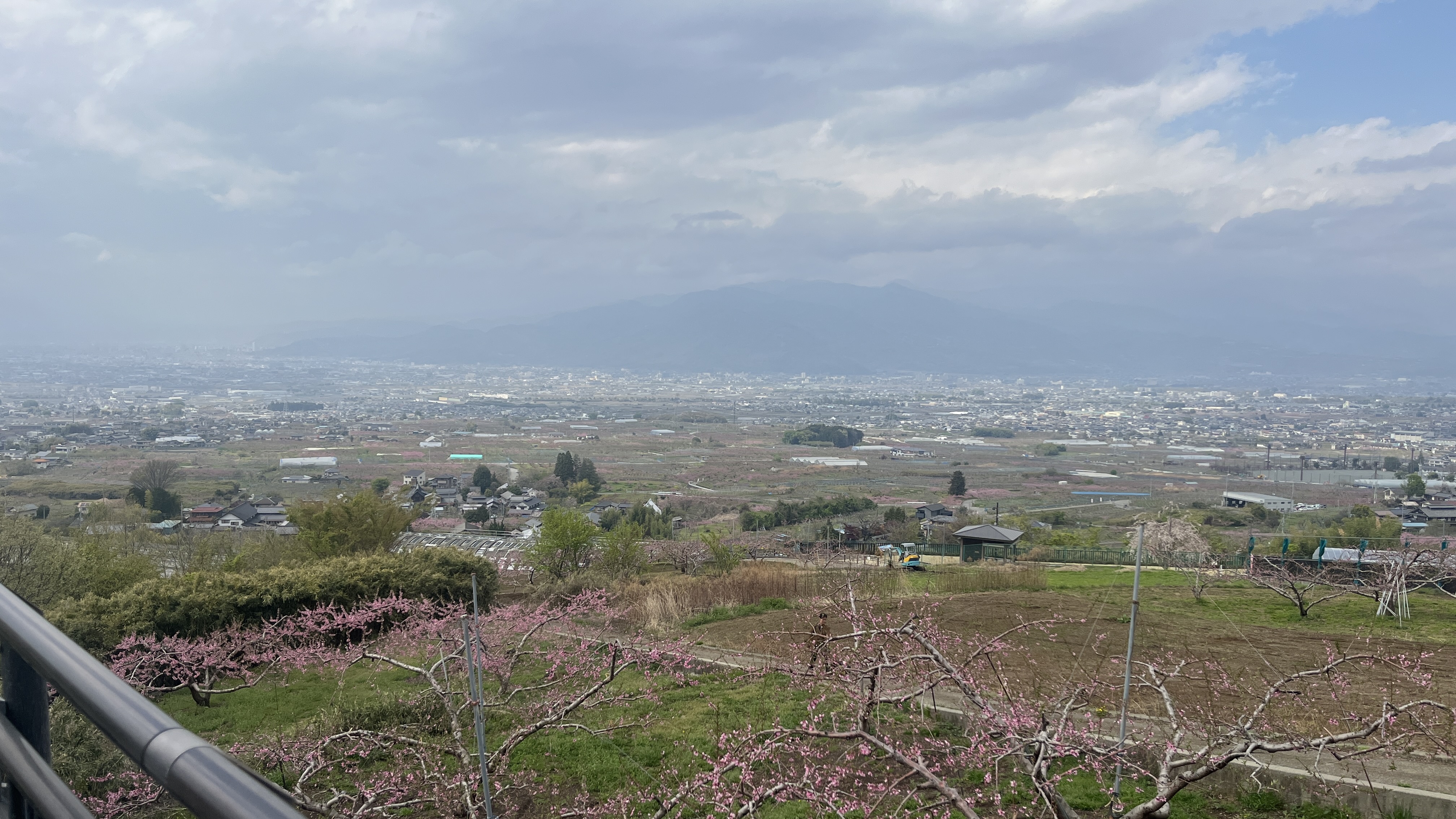 「0→1のビジネス」を体感。山梨で農業インターンしてきた話
