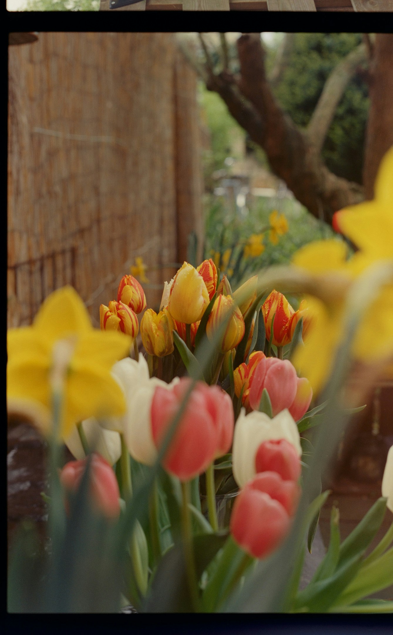 「無理しない」が、チームを強くする。子育て奮闘中社員の、お互いさまの働き方。