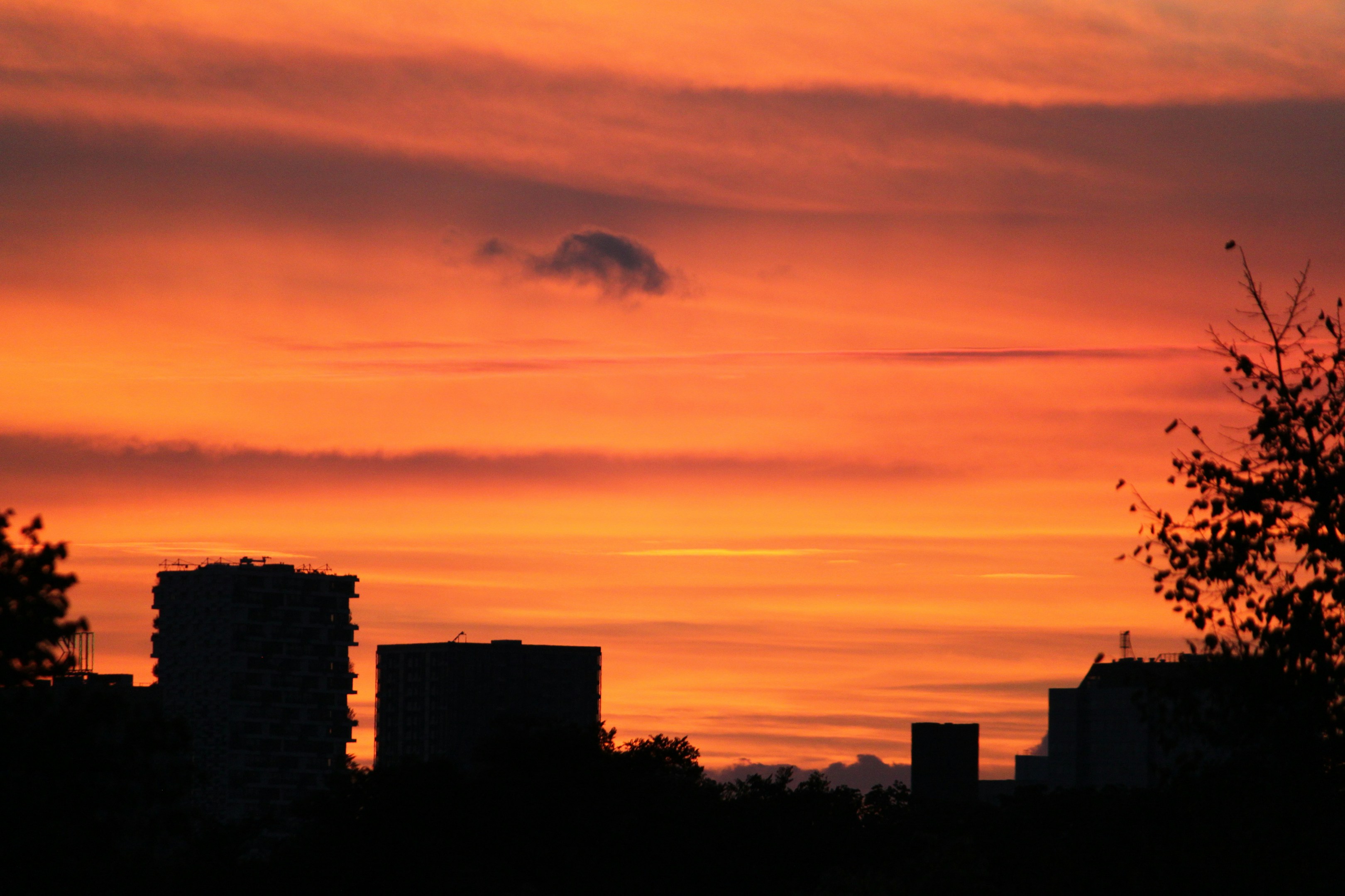 なんでもない帰り道が、ちょっと楽しくなる仕事。