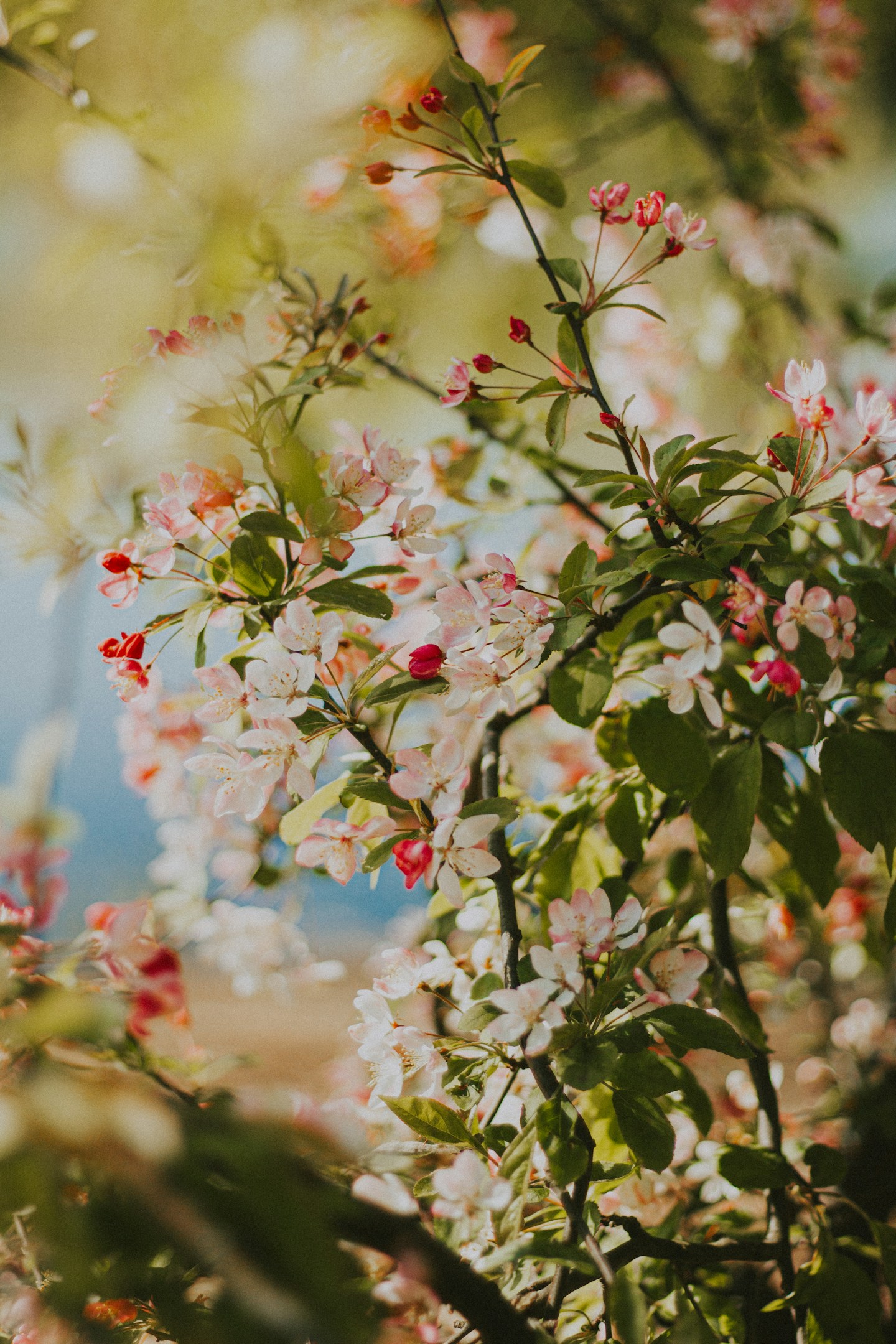 私が「今」を大切に生きる理由