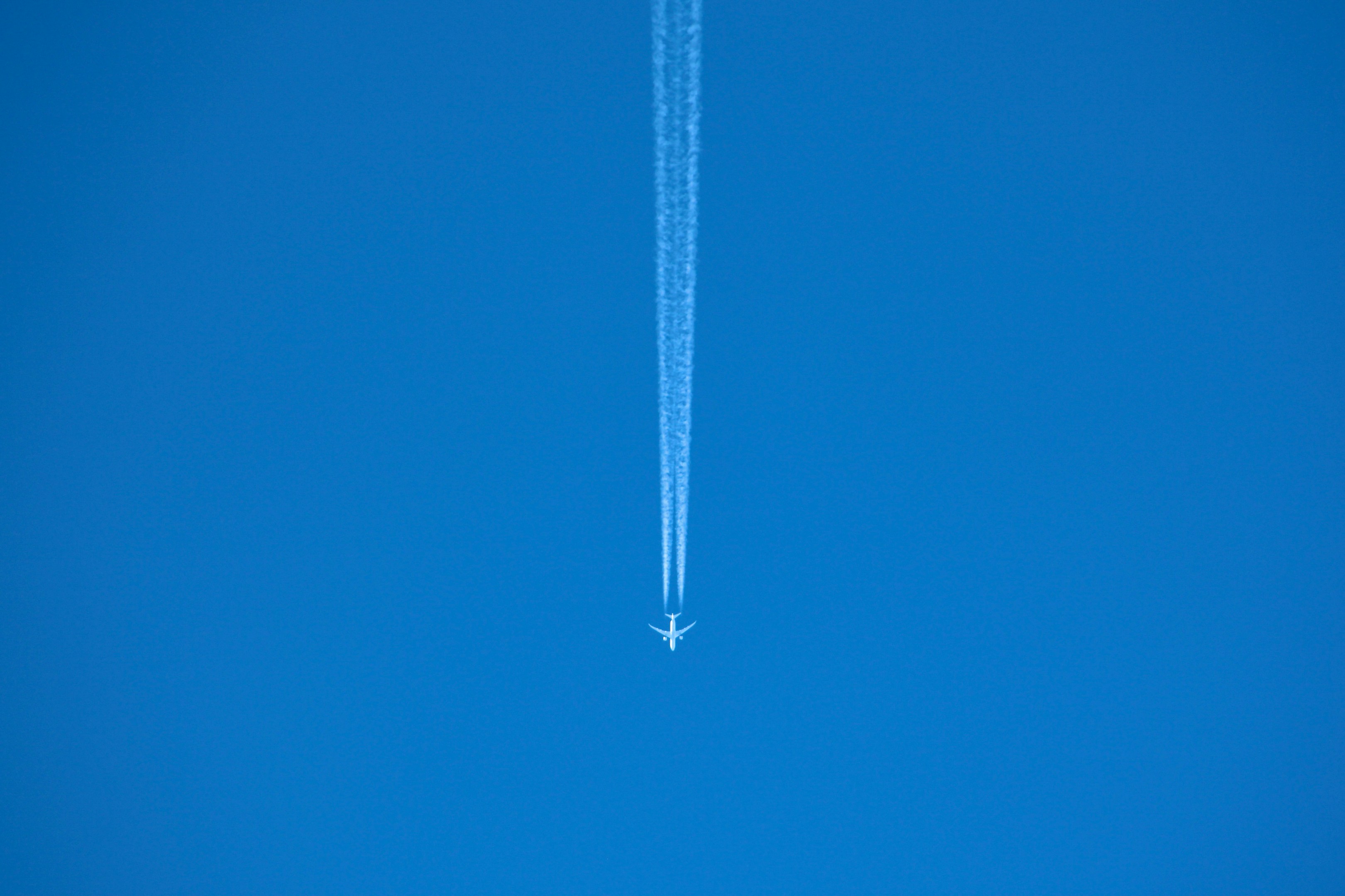 【部署の垣根を超えて。】「組織をより良くしたい」仲間が集まるMX合宿を開催📝