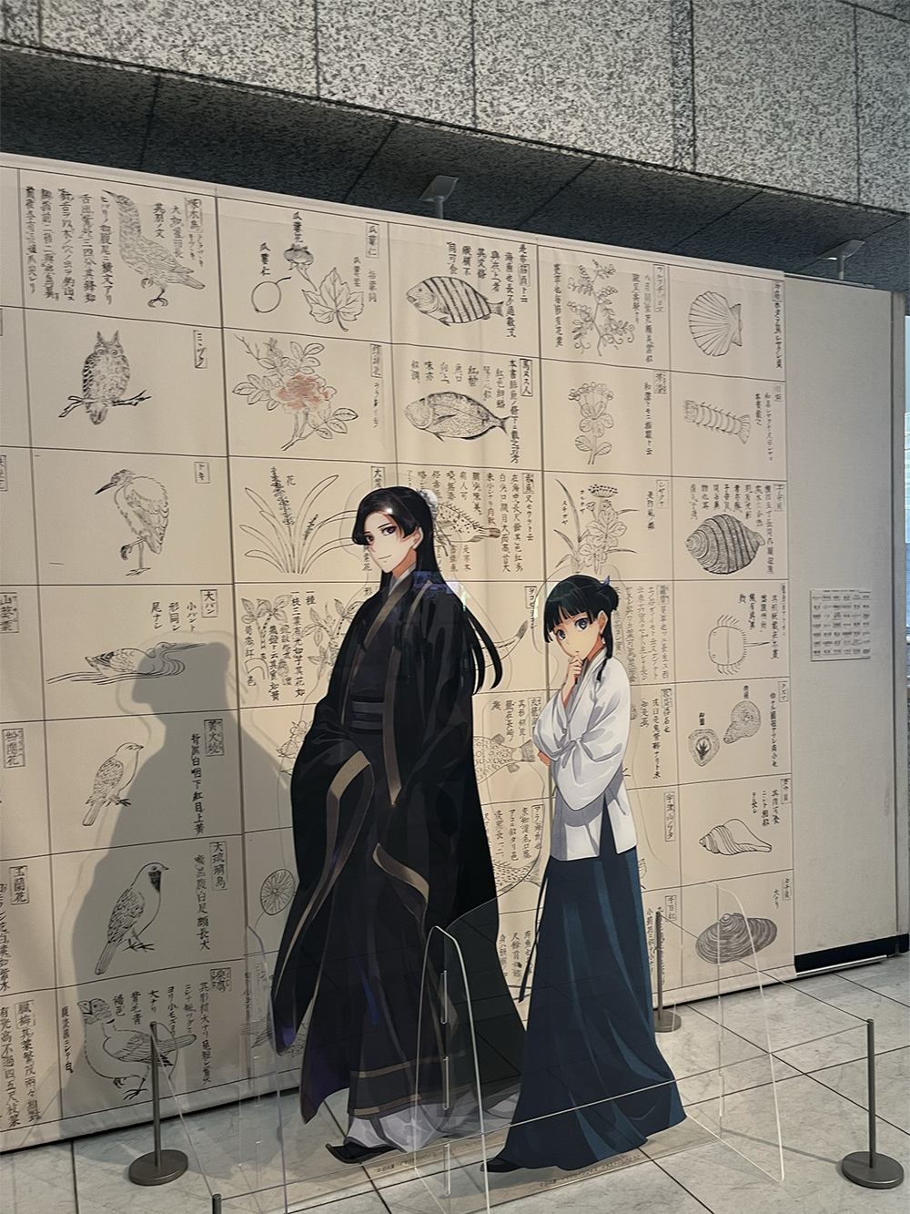 【新入社員の見学レポ】「薬屋のひとりごと」コラボ展示！in千葉県立中央博物館