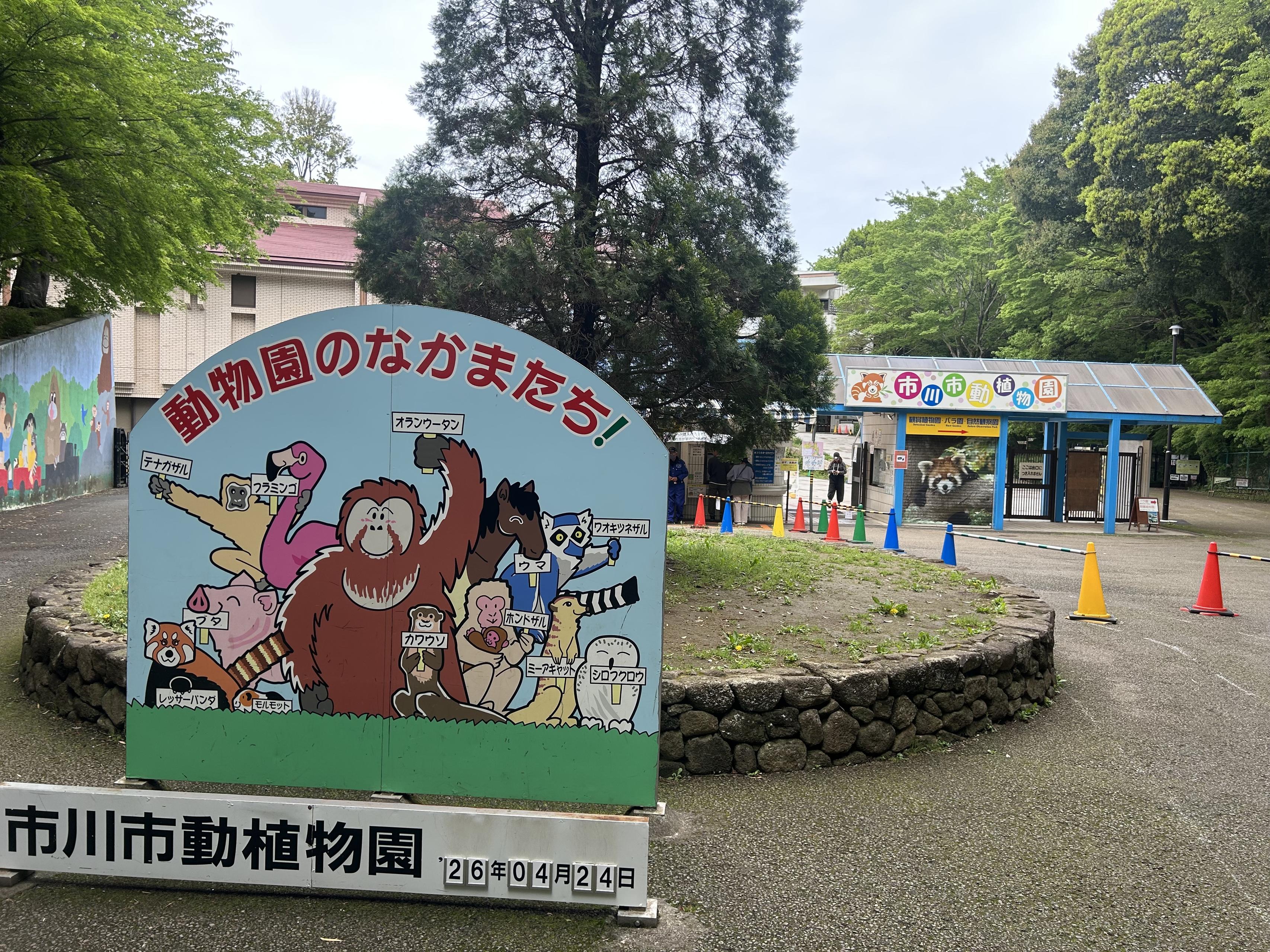 【話題のパンチ君】にはまだ会えていませんが。市川市動植物園に育てられた私の「ガチ推し」紹介