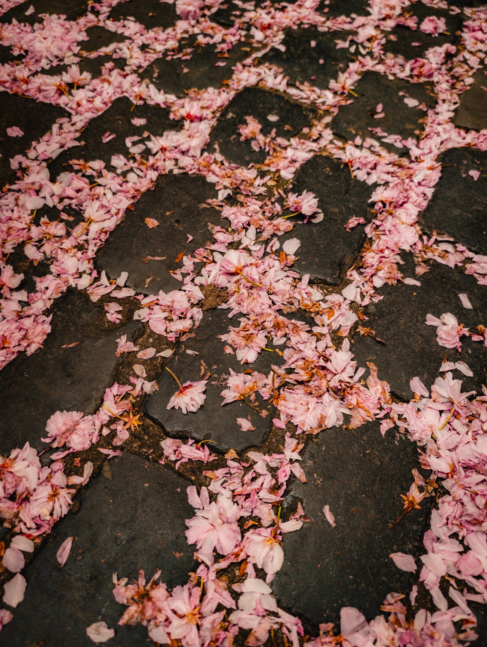 【Koujitsu全社キックオフレポート】12期3Q終了——ラストクオーターと、その先の話