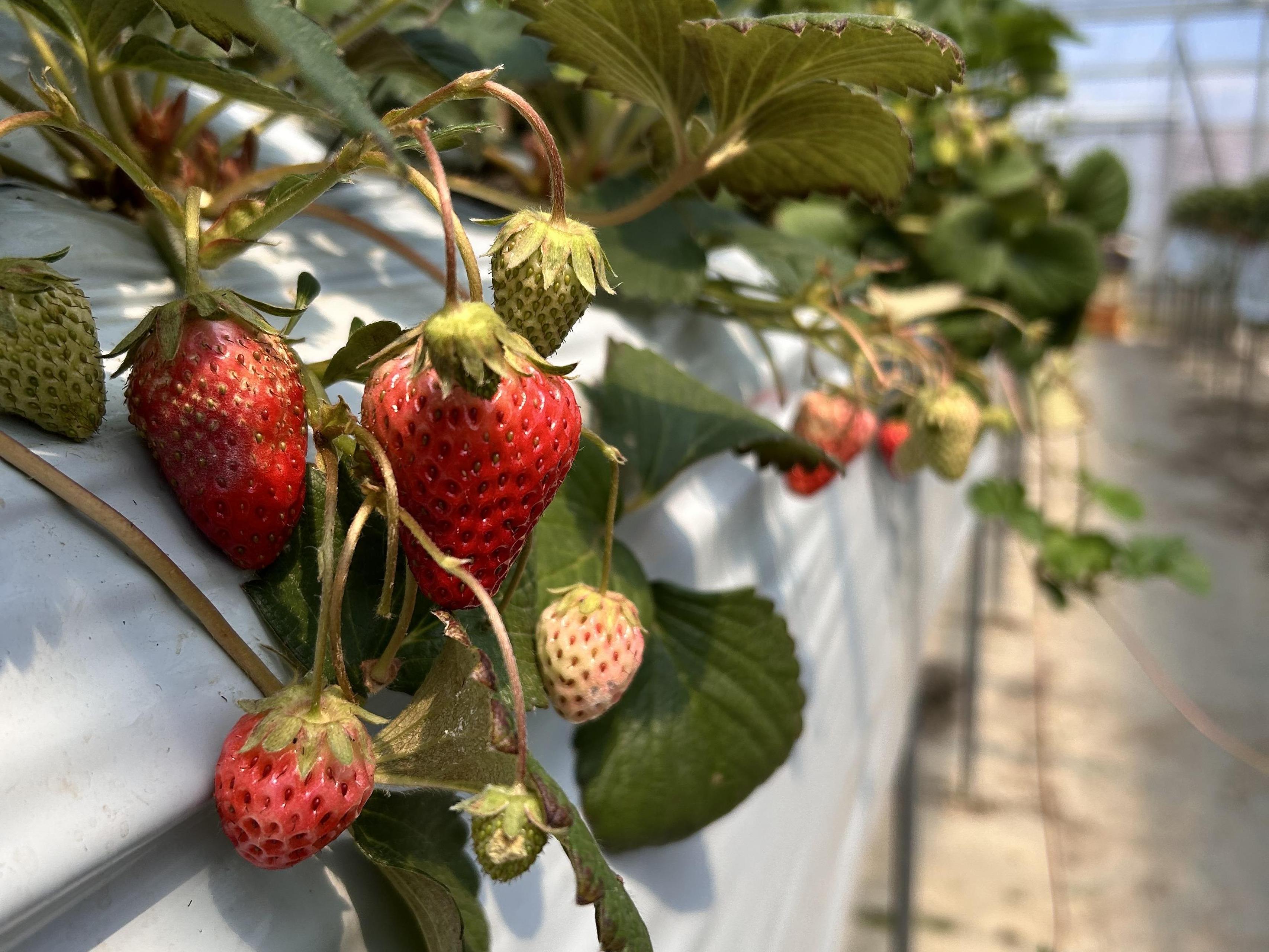 「現場に来ない開発会社」が多すぎる。だから、私たちは必ず行くことにしています。