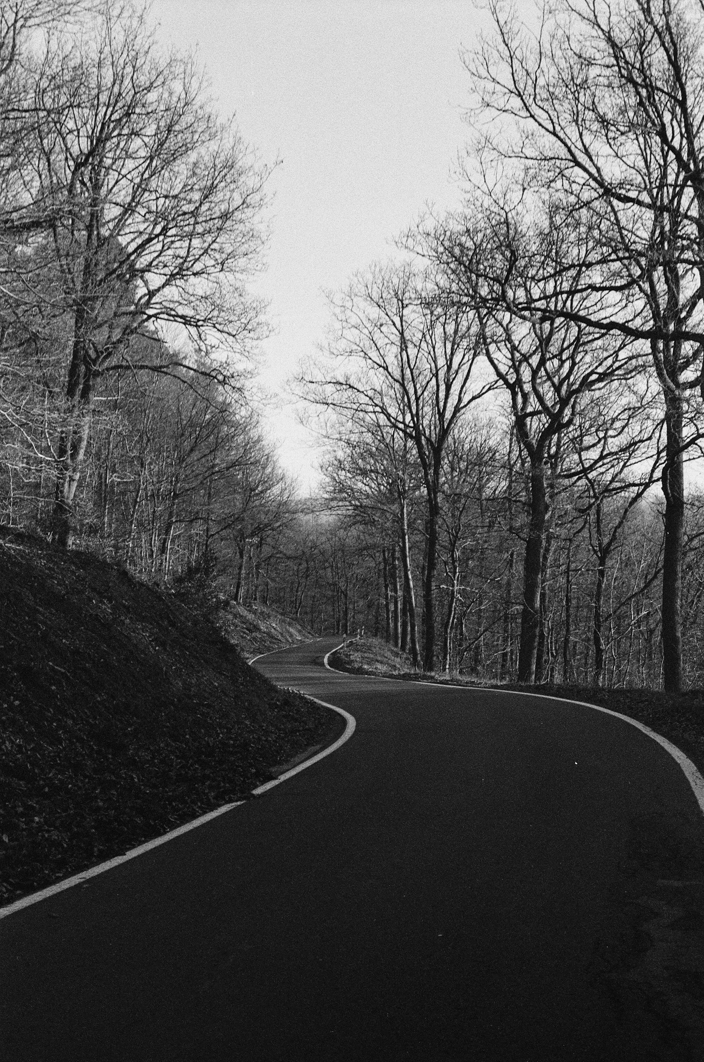 属人化はなぜ必要になるのか、いつ解消すべきか