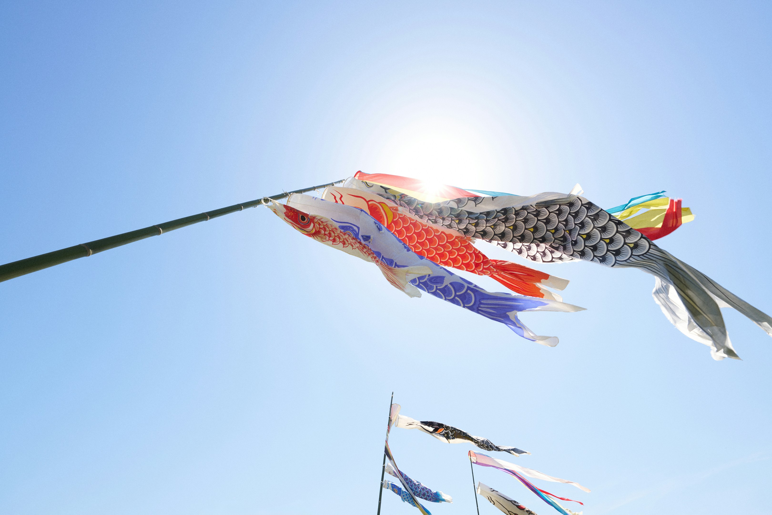 少しだけ、時間の流れがゆるくなる季節
