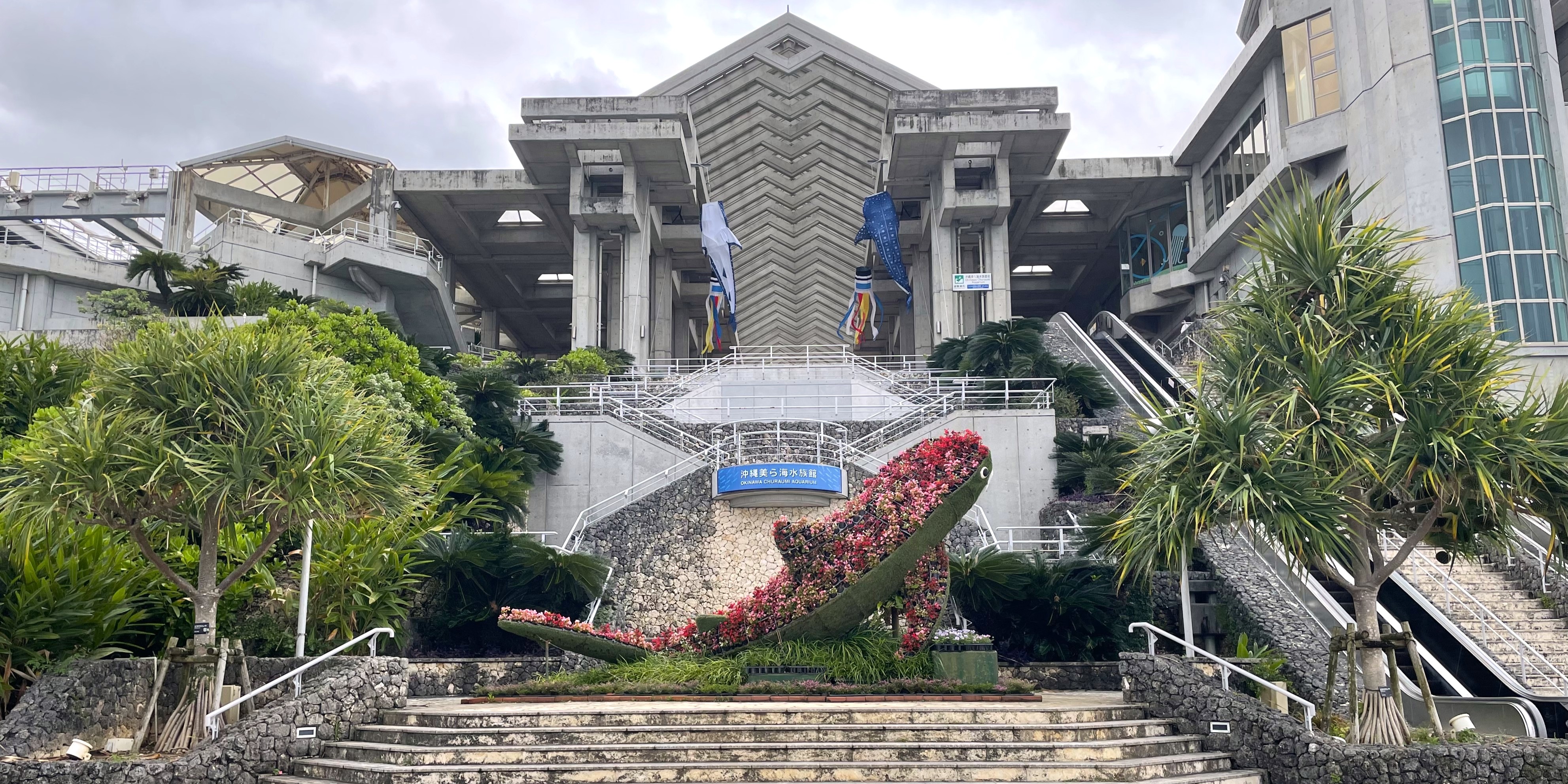 沖縄旅行編① 南国の海と迫力満点の展示を体感｜沖縄美ら海水族館