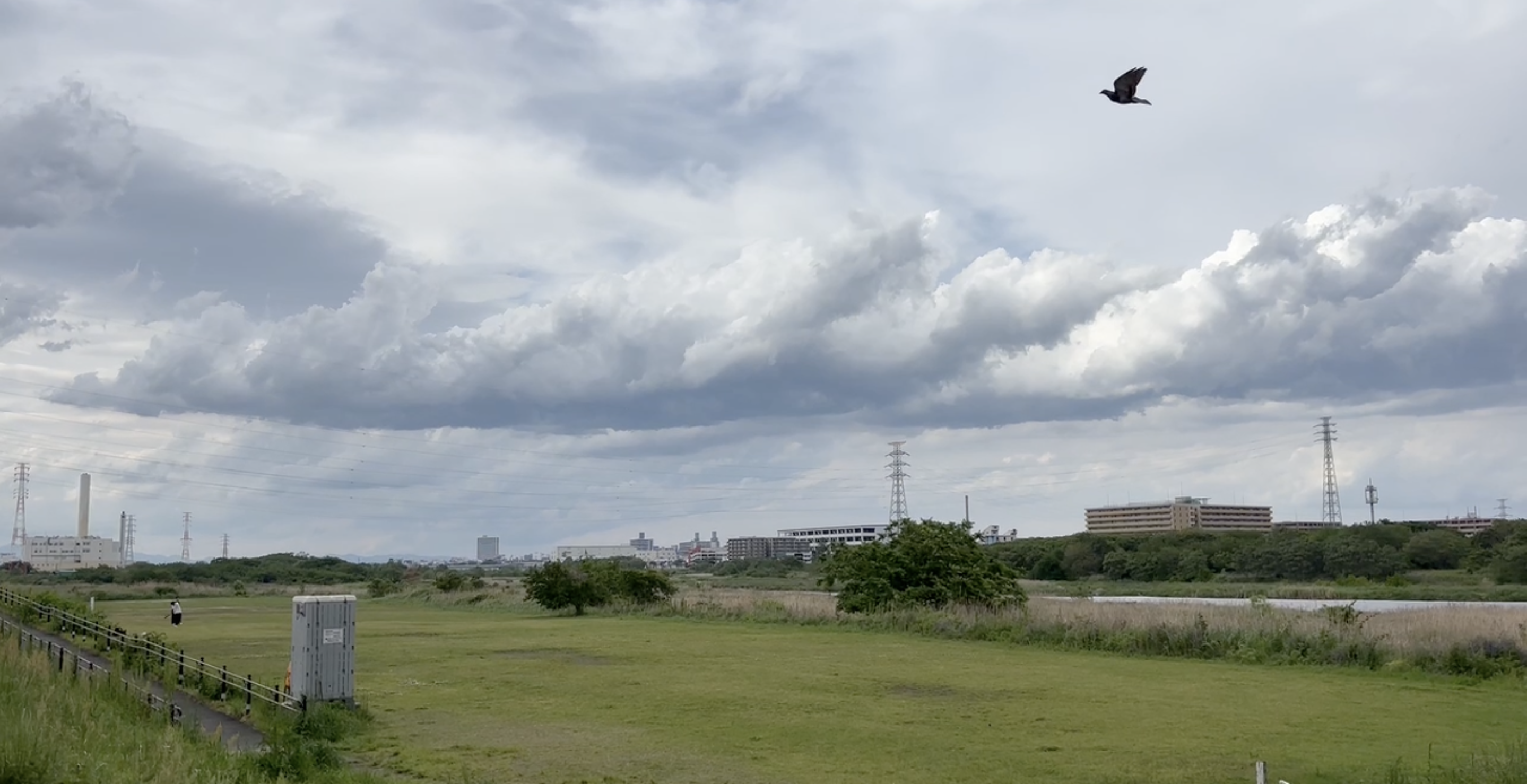 空や雲の見え方を、映像の中にも繋げています