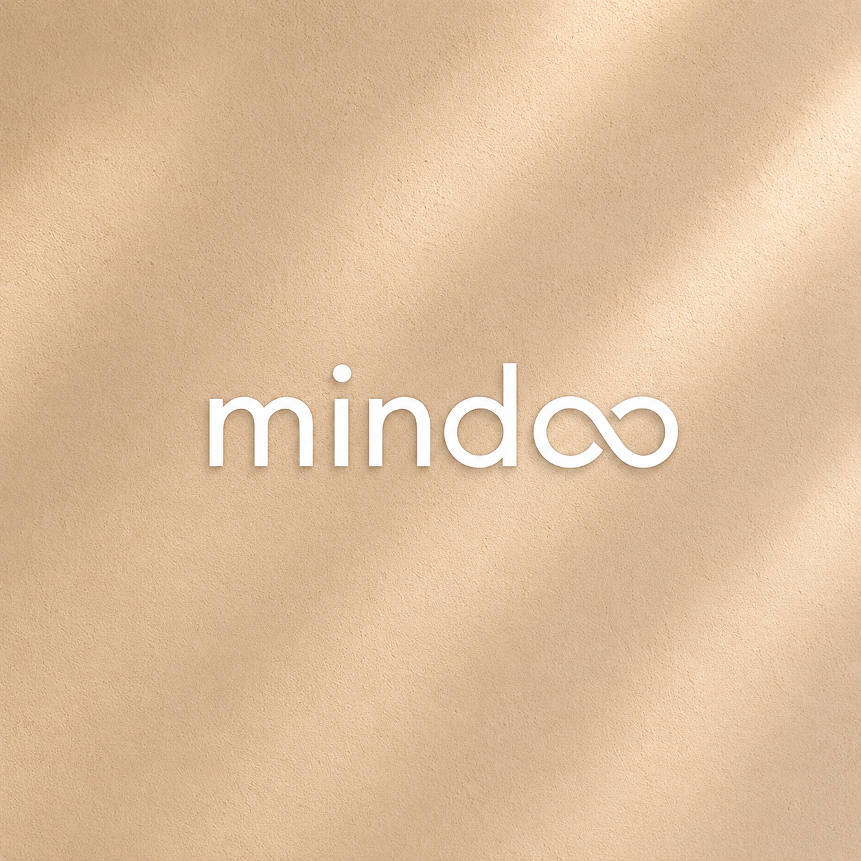 株式会社Mindoo technology