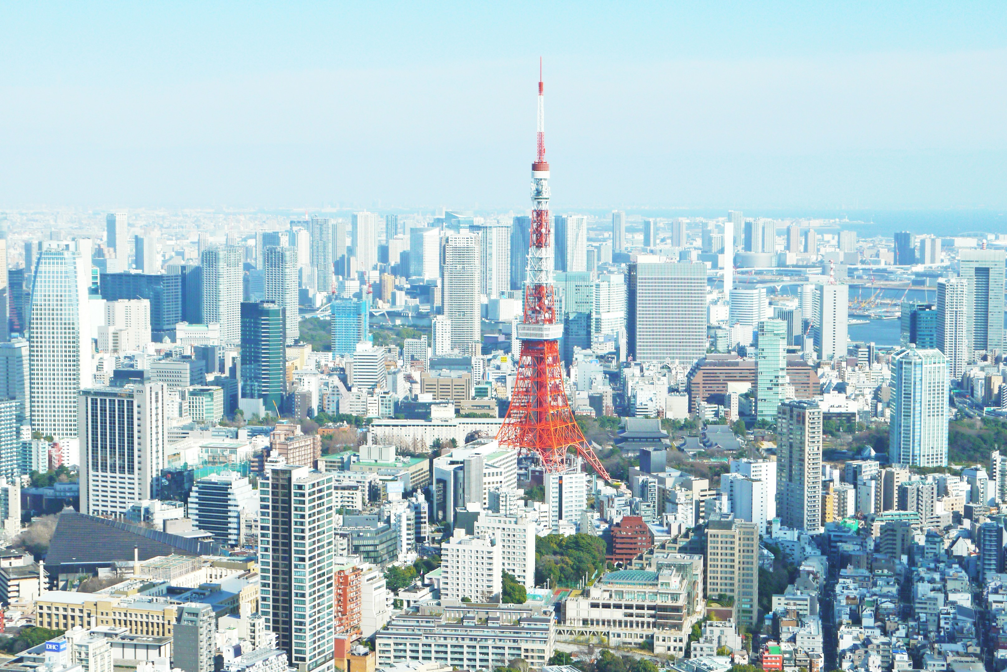10年ビジョン：「黙った者勝ち会議」を、この国から無くす。