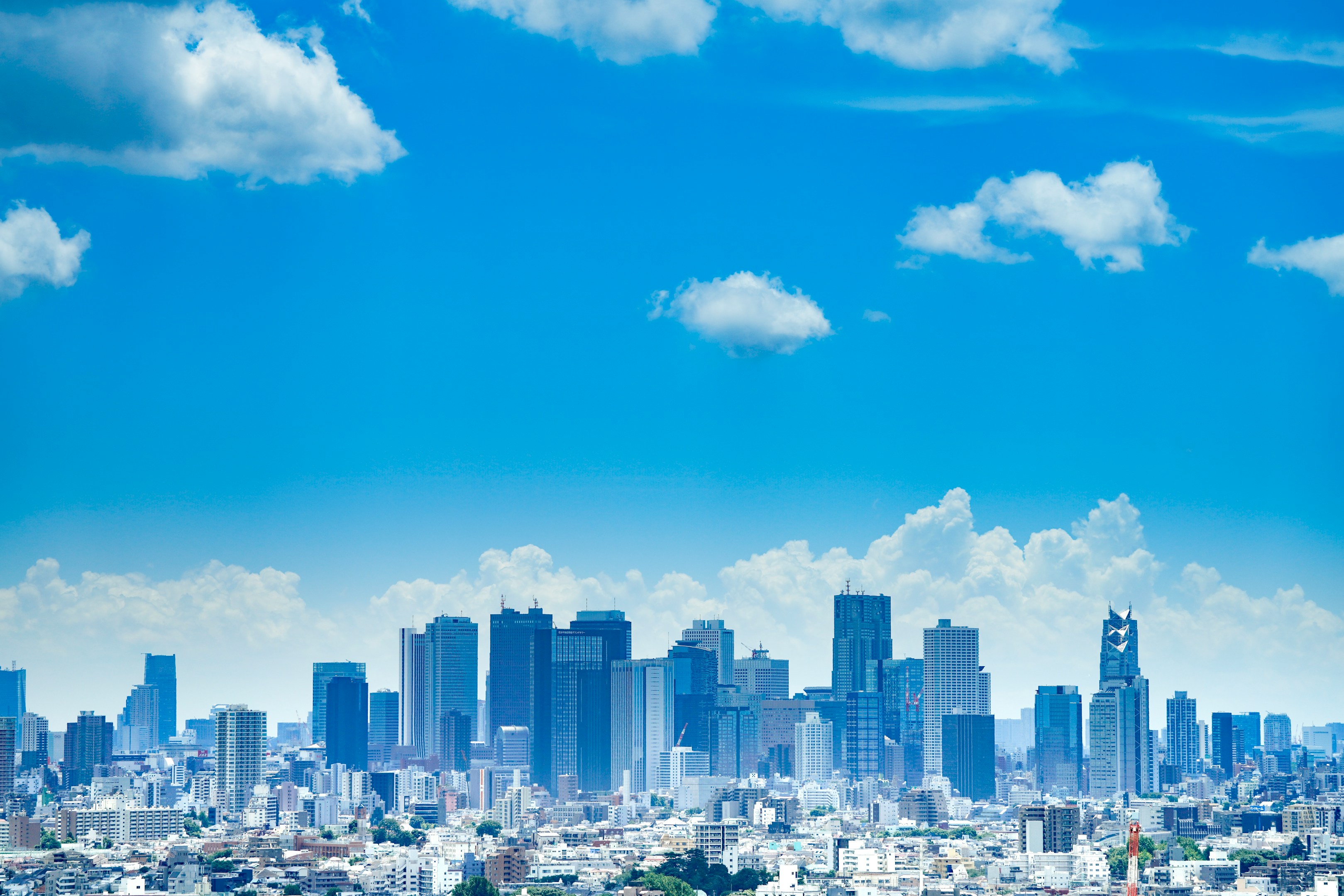 大企業 vs ITベンチャー、実際どう違う？両方で働いた私がガチ比較してみました。