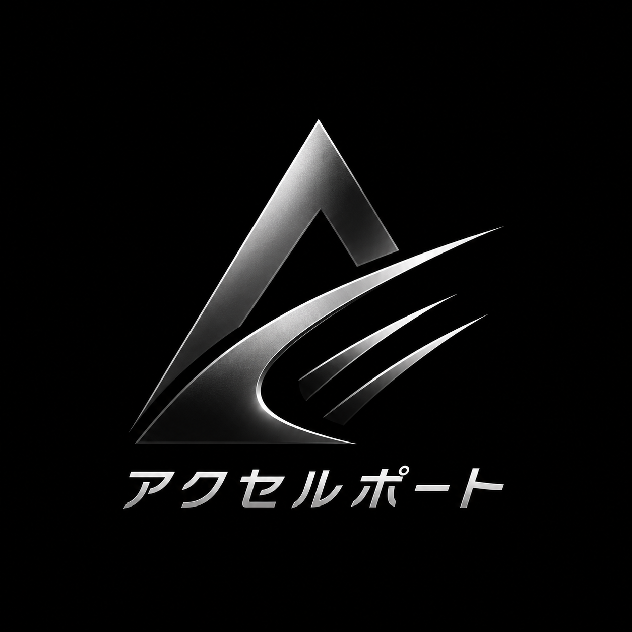 株式会社アクセルポート