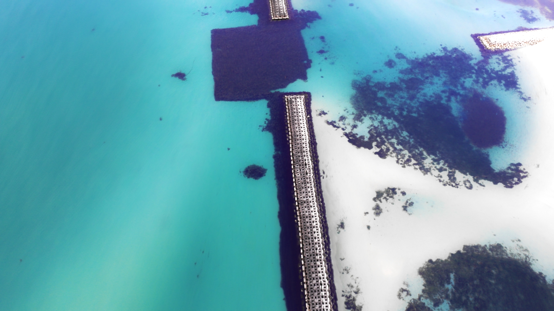 なぜ淡路島？