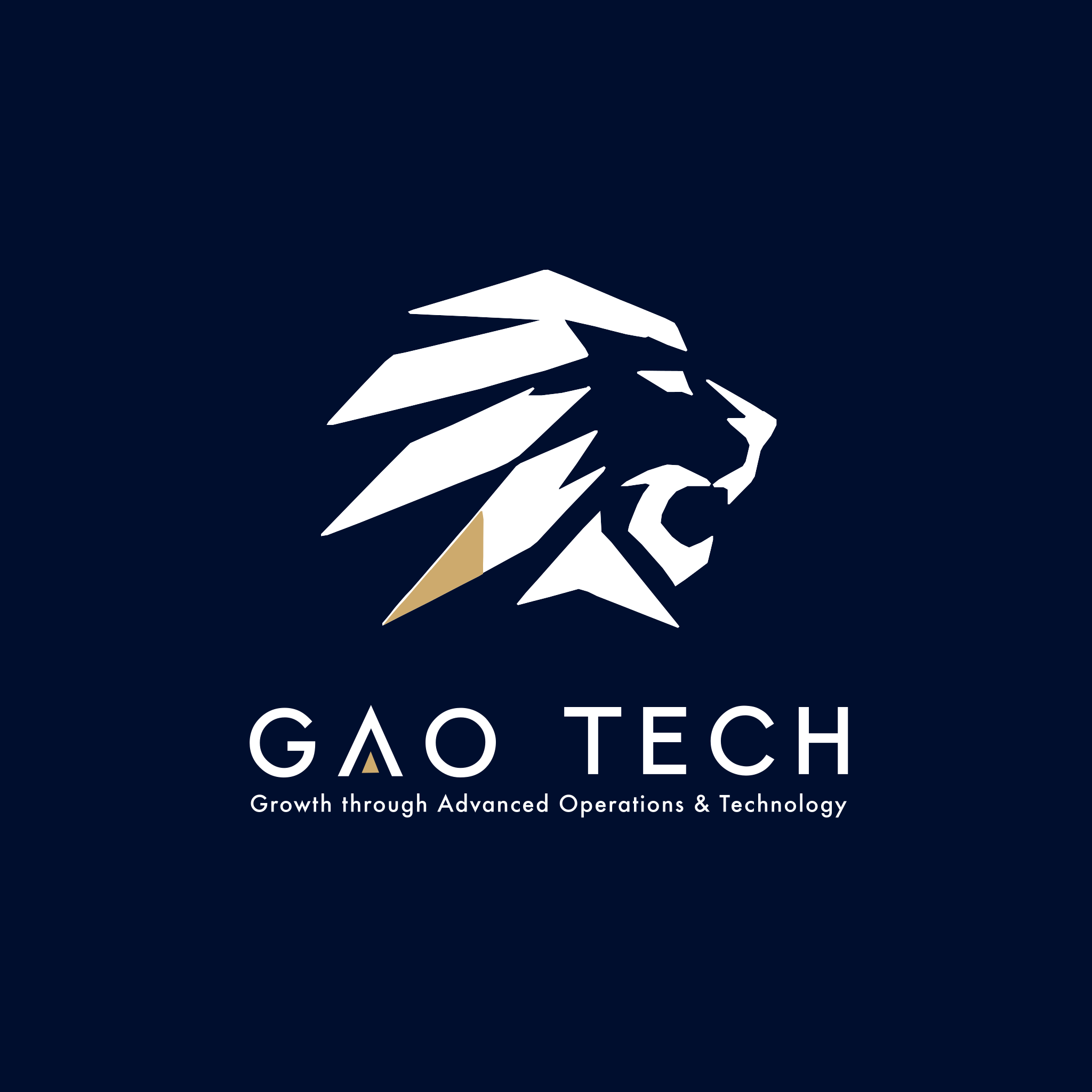 株式会社GAO TECH