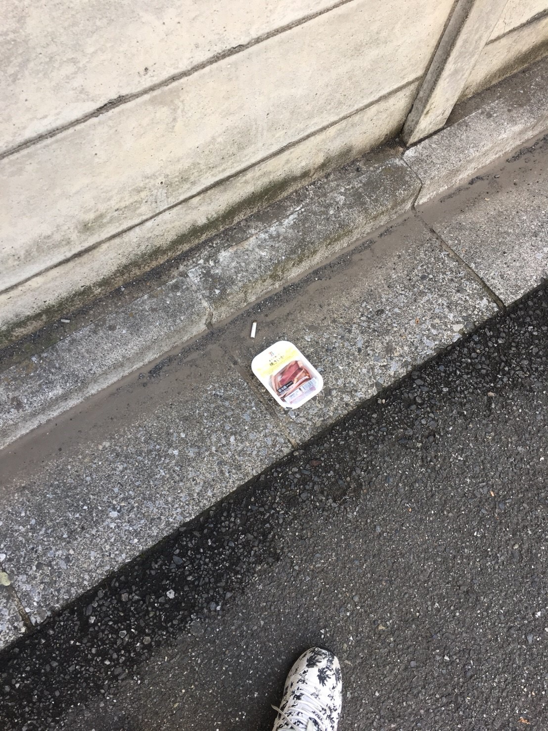 烏賊いかが