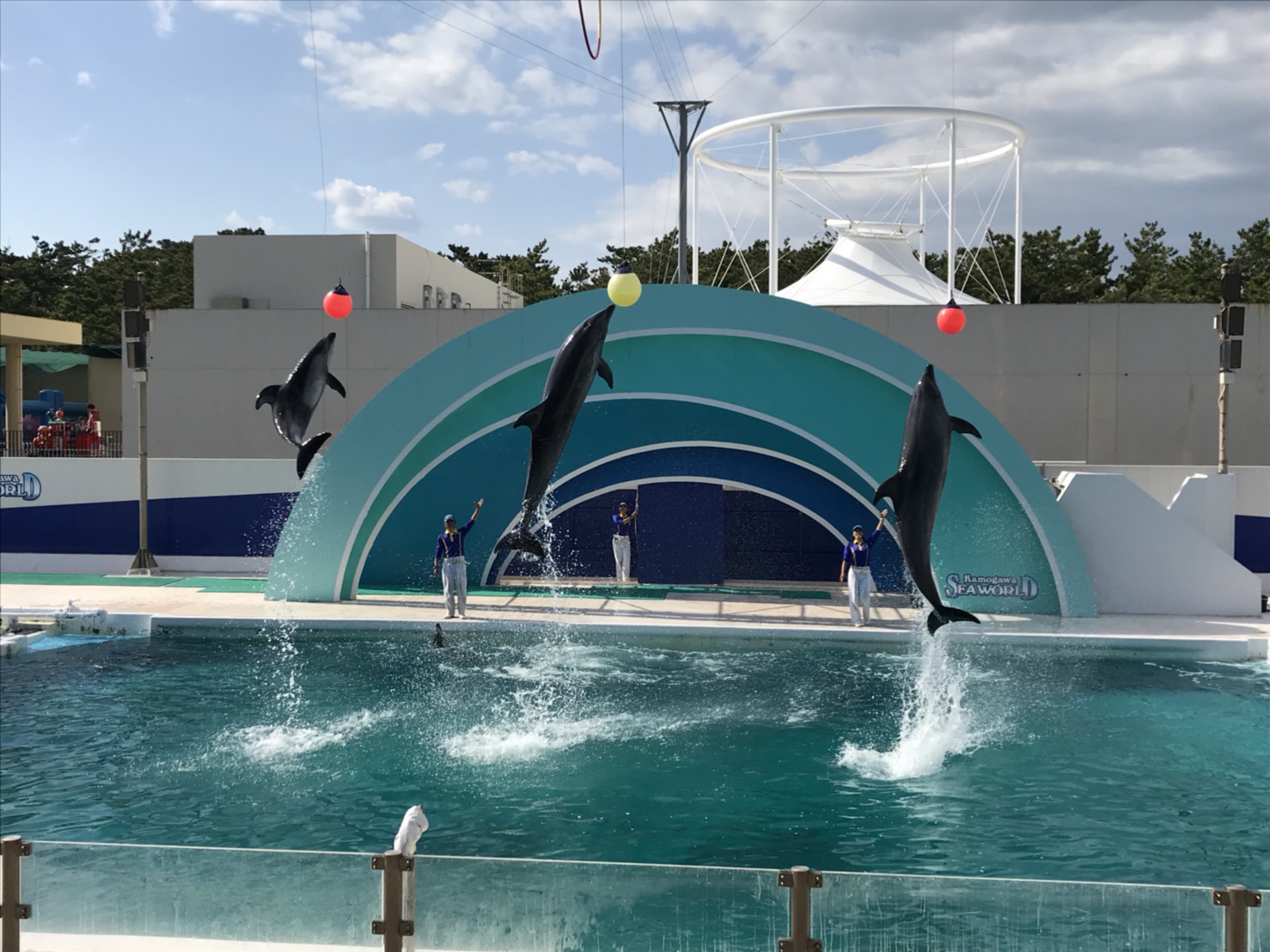 動物園と水族館が大好きです。